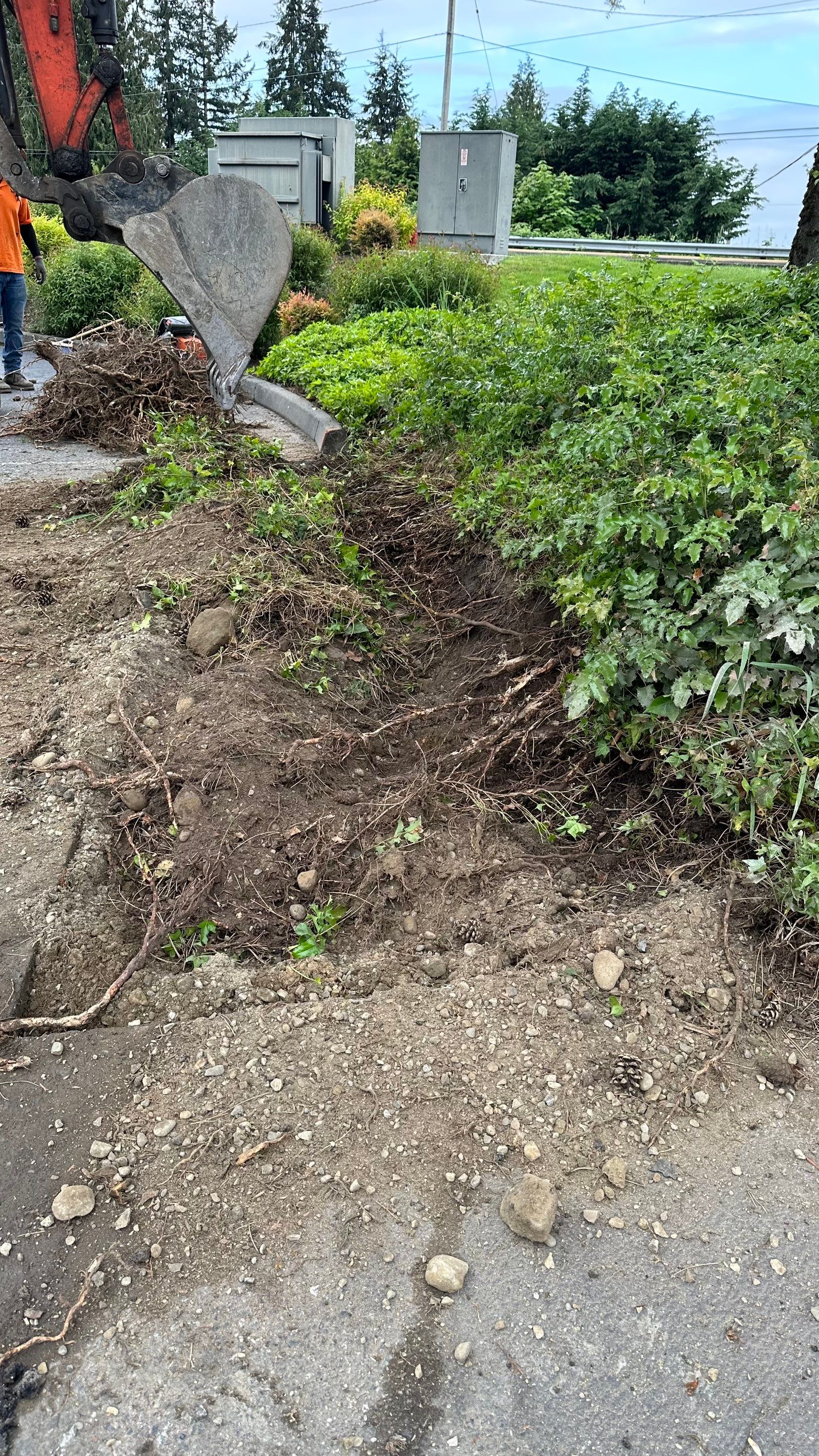 Amanda | Concrete Curb by Jireh Asphalt & Concrete Inc 