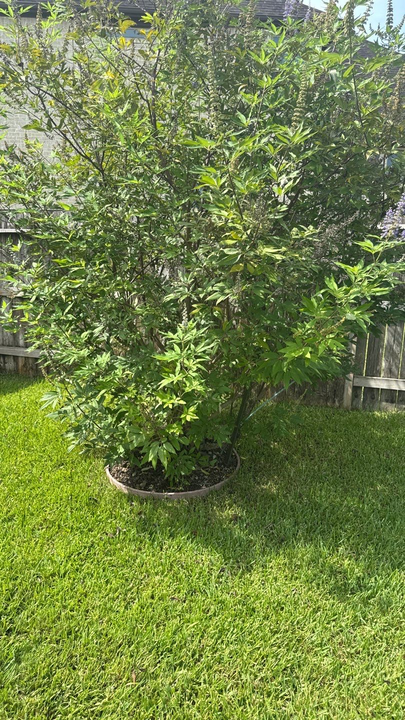 🌿 Mr. Ken’s Front Yard Flower Bed Enhancement by Texas Urban Elements