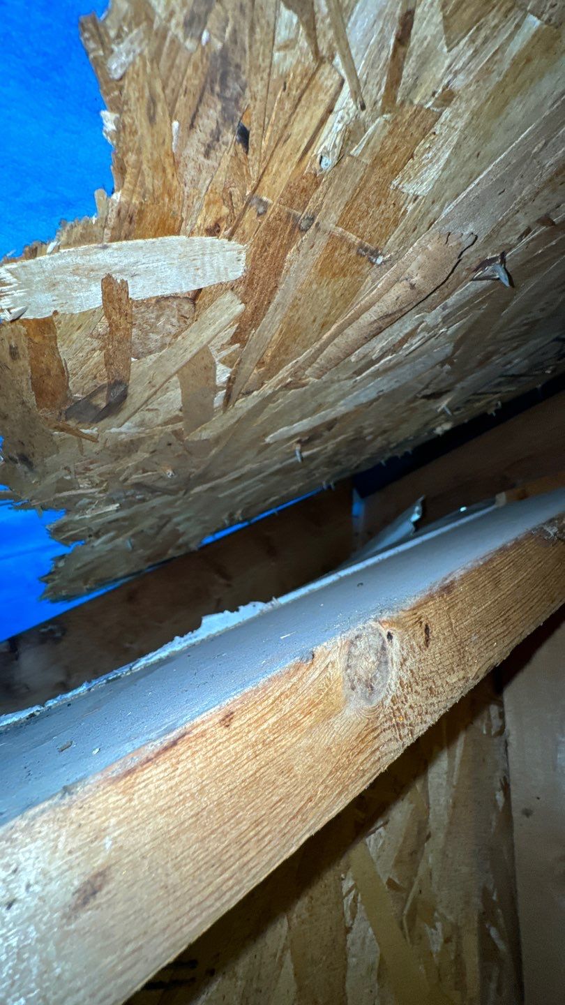 Falls Church: Residential Roof Replacement with CertainTeed Landmark Pro in Max Def Colonial Slate by RM Banning, Inc.