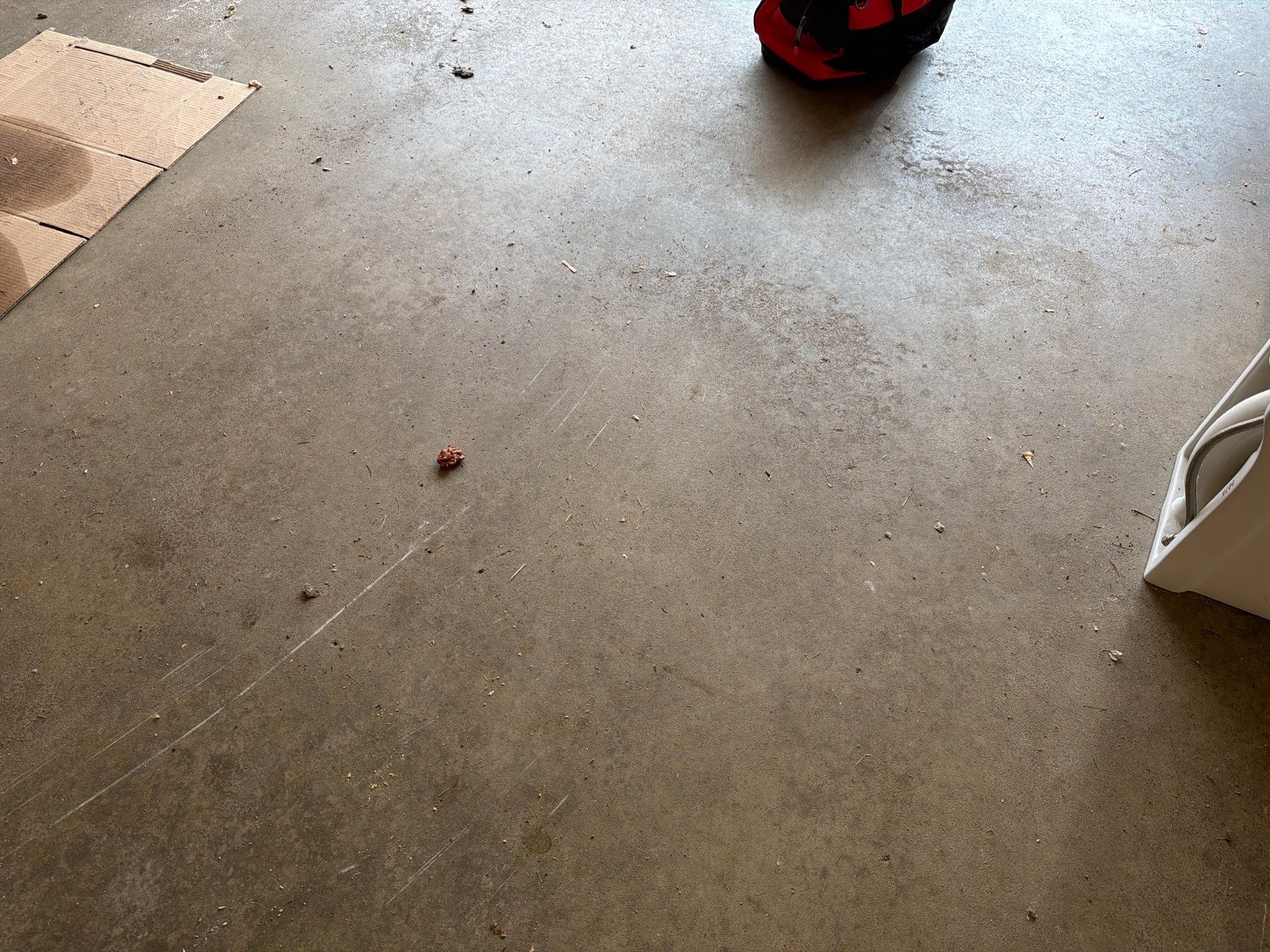 Sioux Falls Garage Floor Coating with Speckled Flake Finish by Select Painting, Coatings & Garage Cabinets