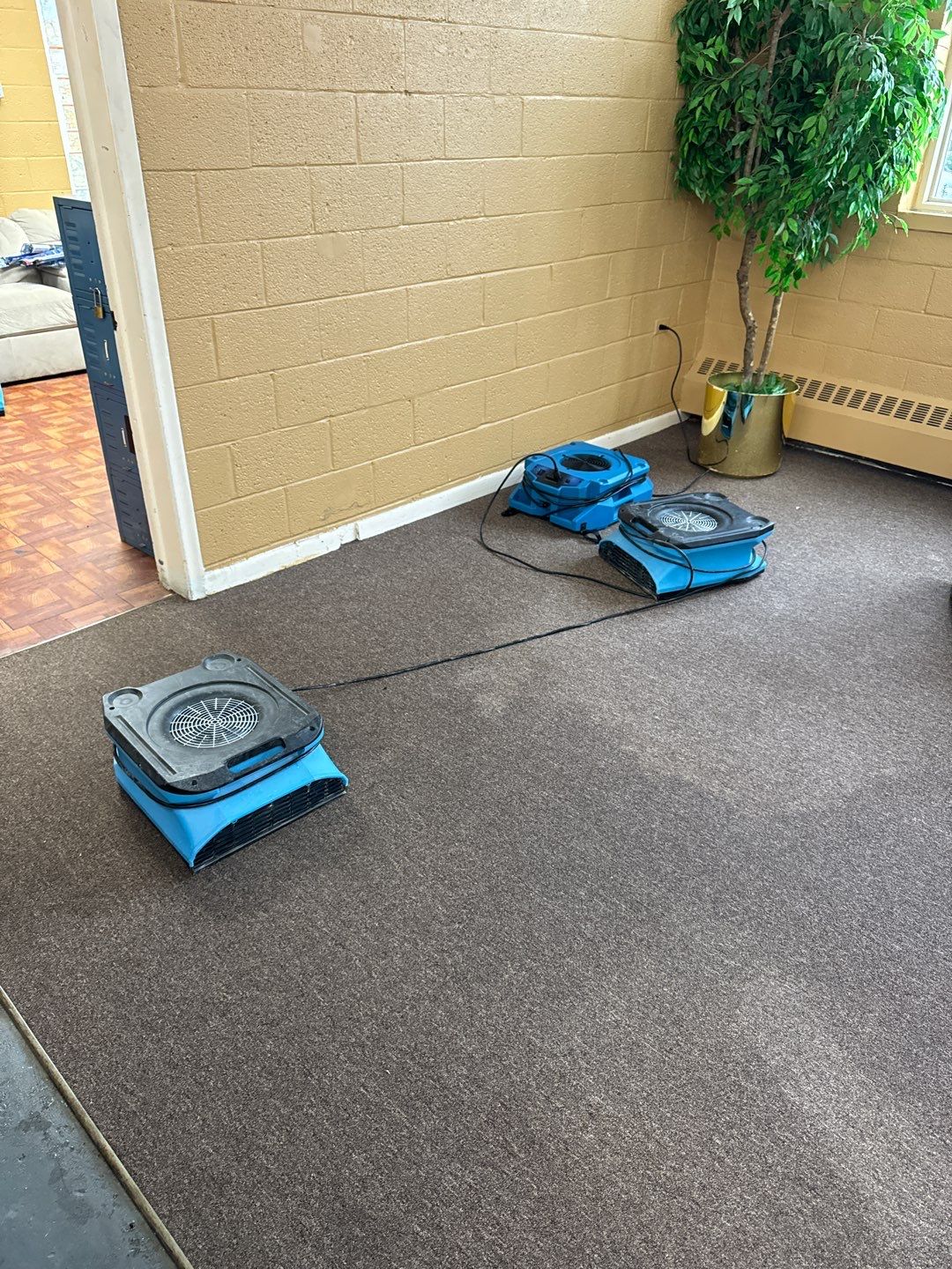 Project in Oak Park by EzDry Water Mitigation & Property Restoration