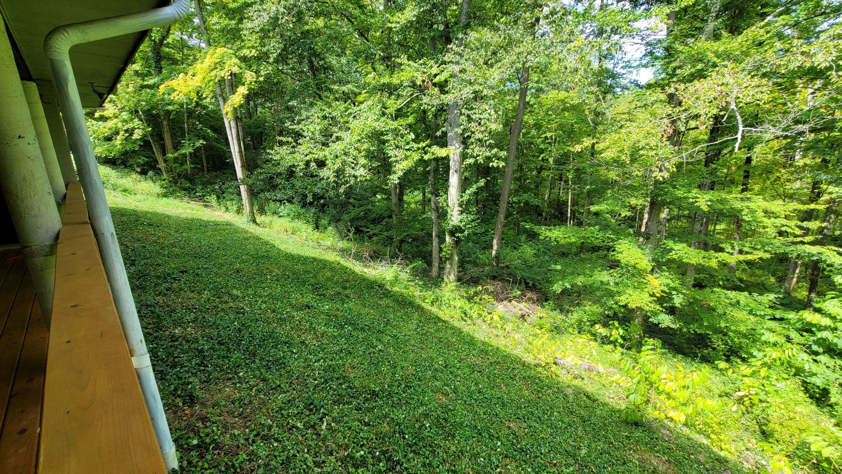 Land Clearing Behind House and Deck by Reisenberg’s Lawn & Landscape, LLC