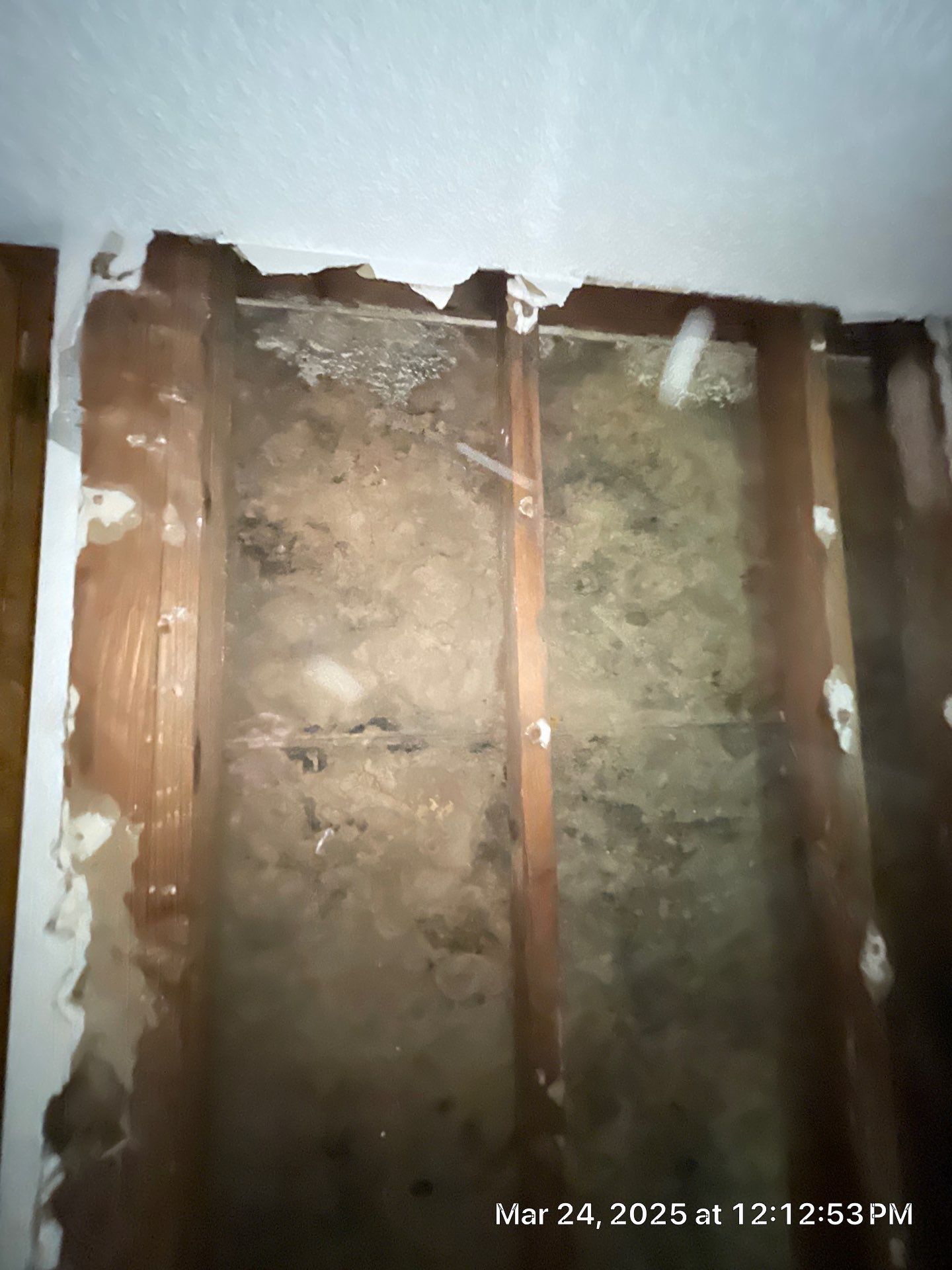 Project in Fresno  by 911 Hazmat Cleanup 