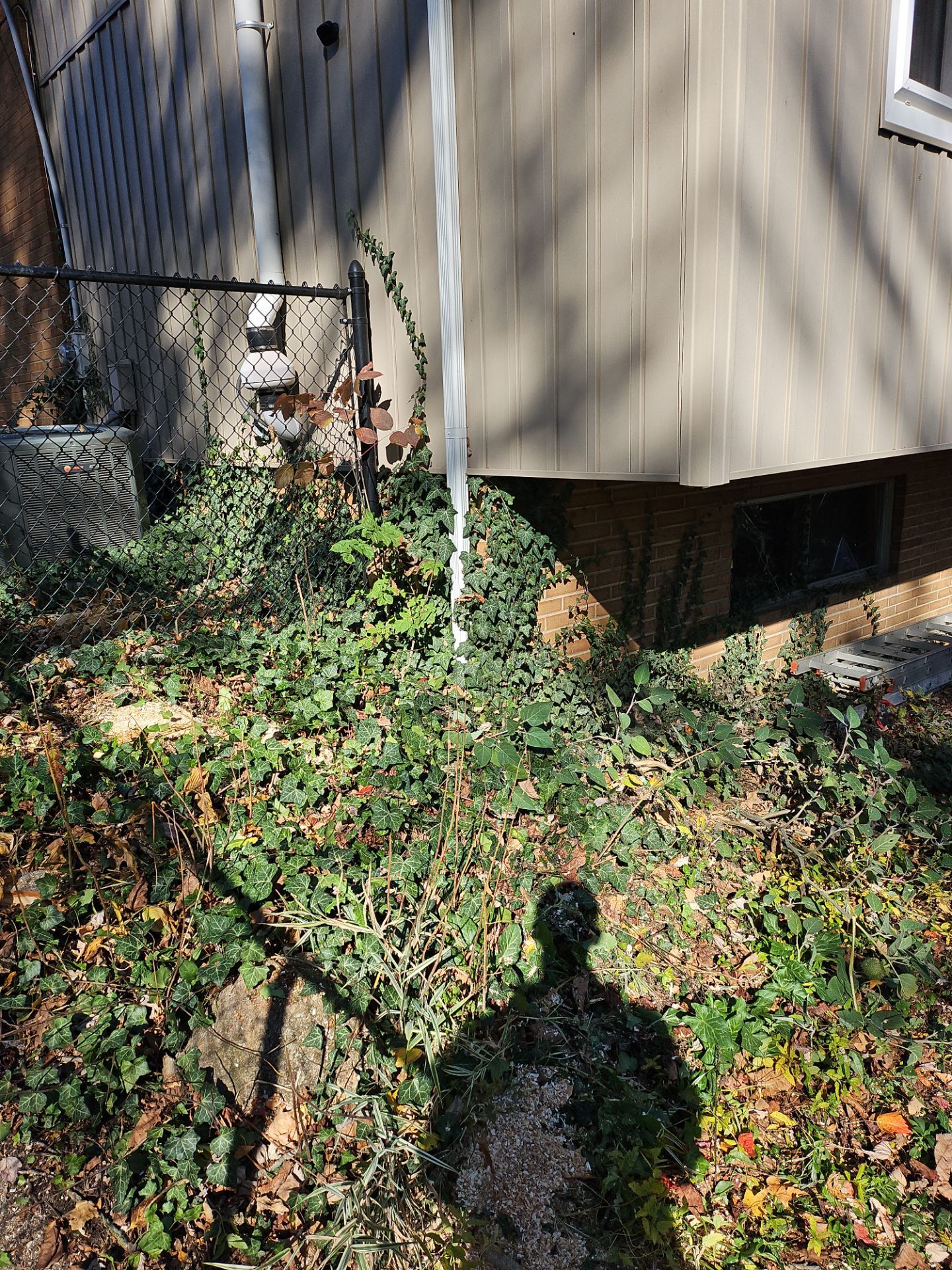 Tree Removal using Tree Removal by Mike Jones & Sons Tree Service LLC 