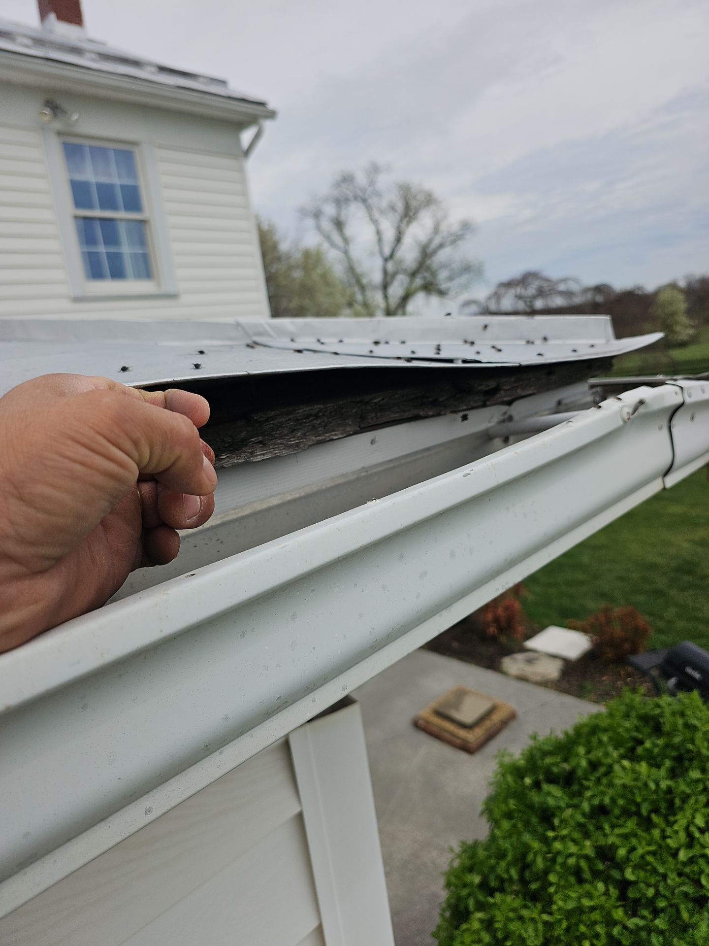 Metal Roof Replacement by Winchester Roofing