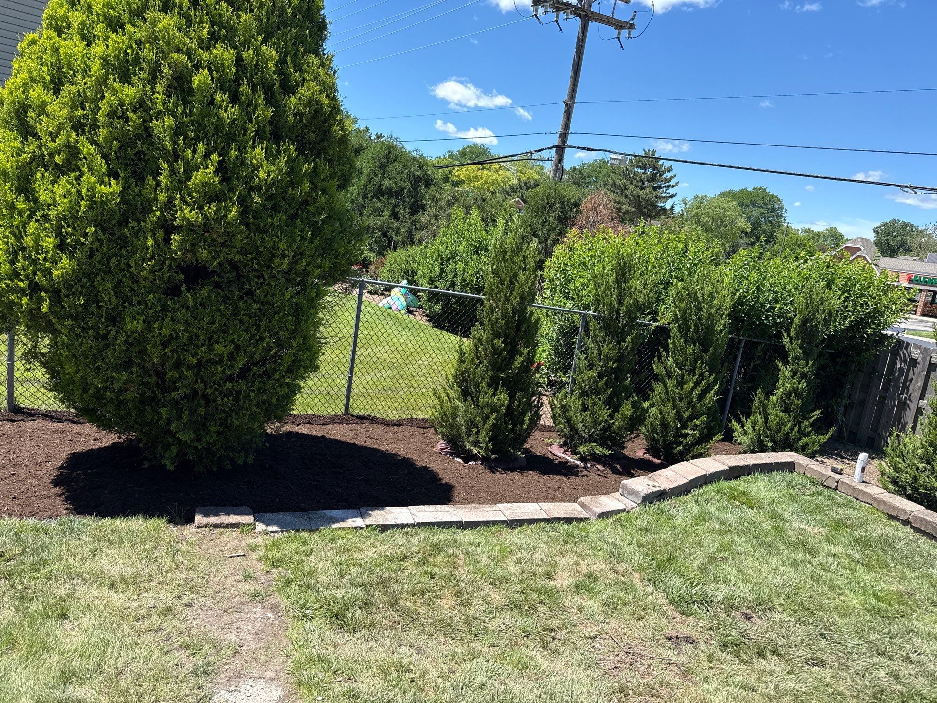 Allie L. - Arlington Heights, IL by A&N 