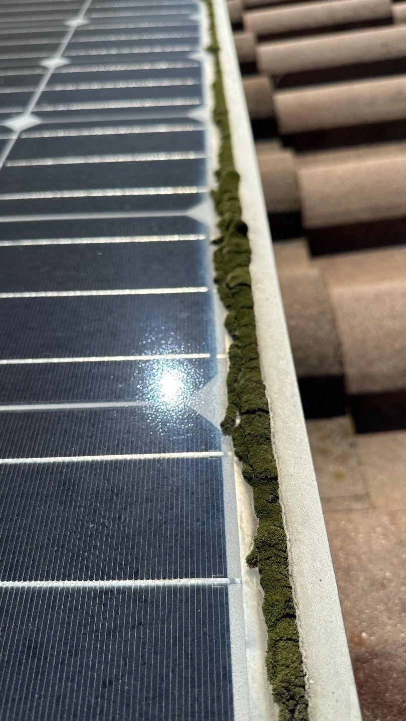 Coto De Caza Gutter Cleaning by Property Cleaning Experts