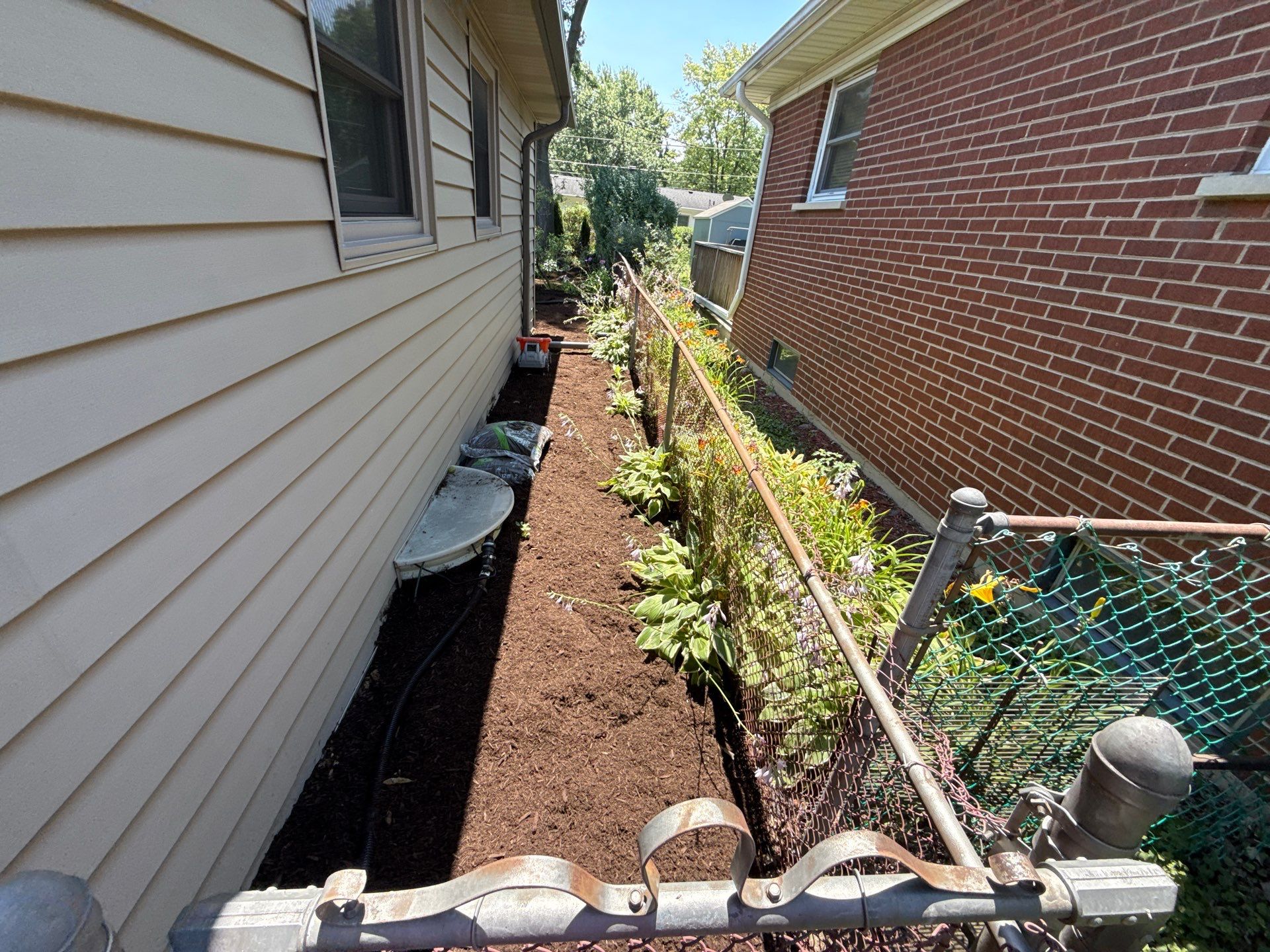 Gina K. - Mount Prospect, IL by A&N 