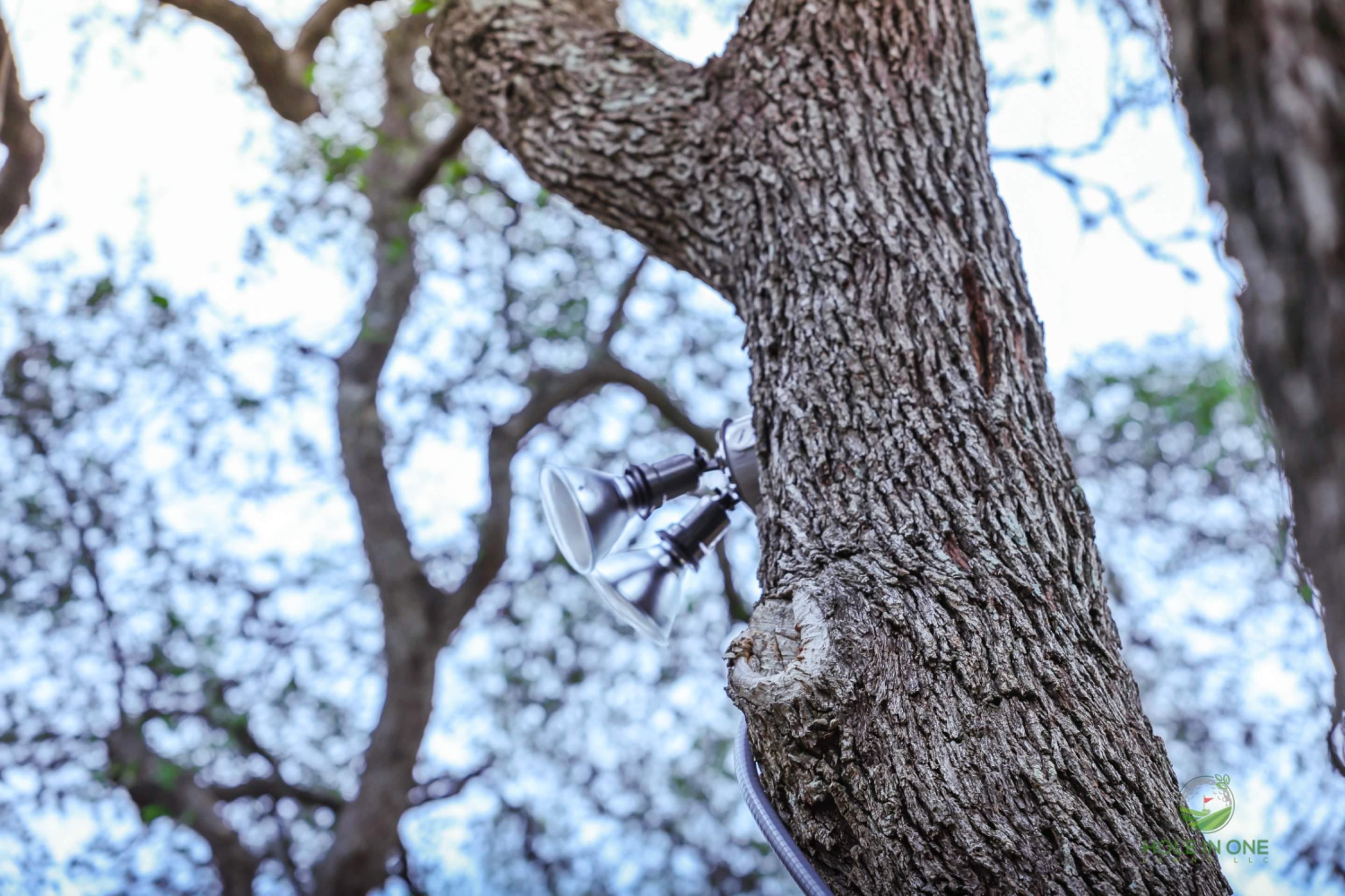 Hidden Forest, San Antonio TX by Hole In One Lawns, LLC