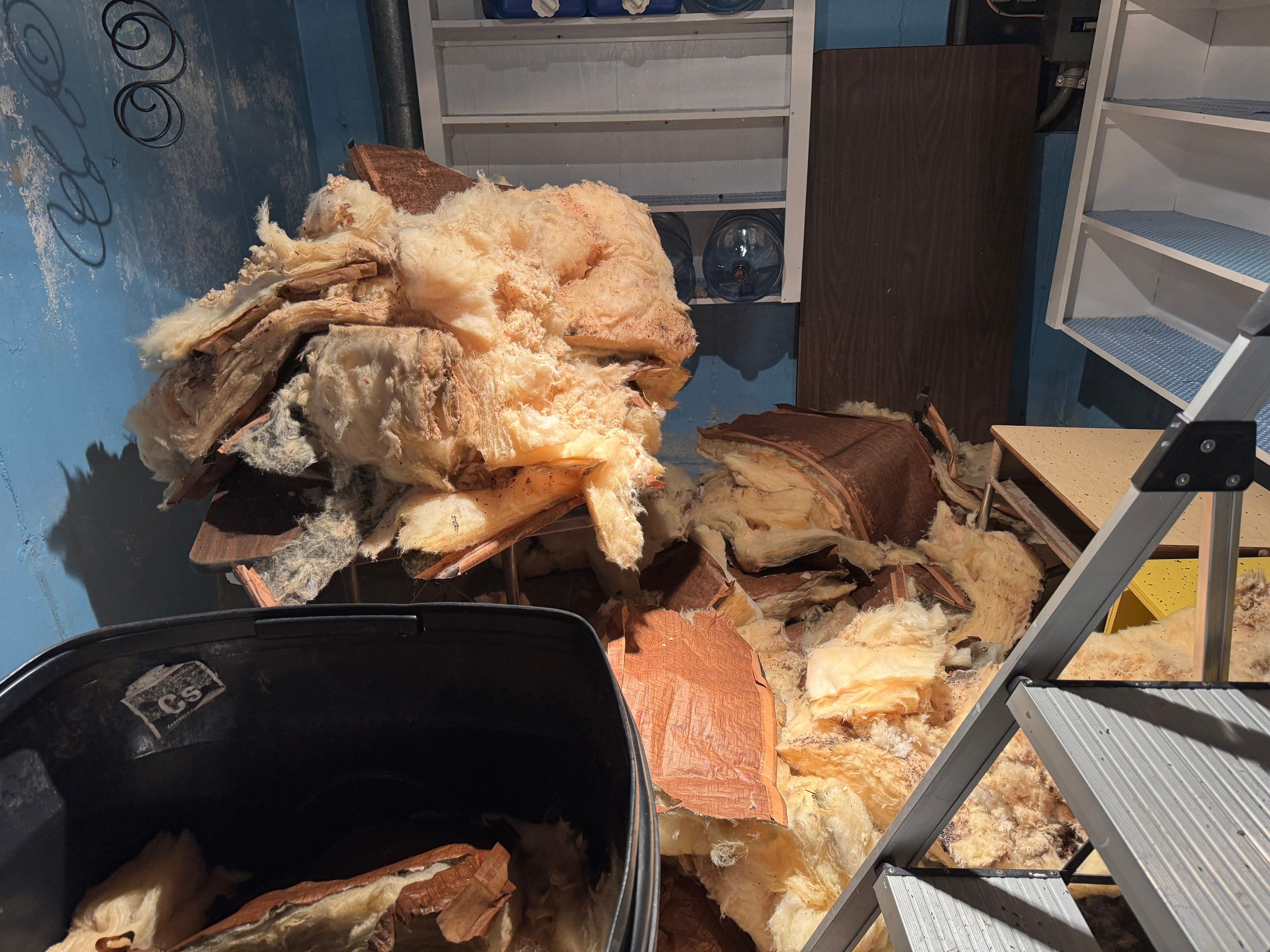 Mold Remediation (Basement) using Home Guarantee by Home Guarantee, LLC