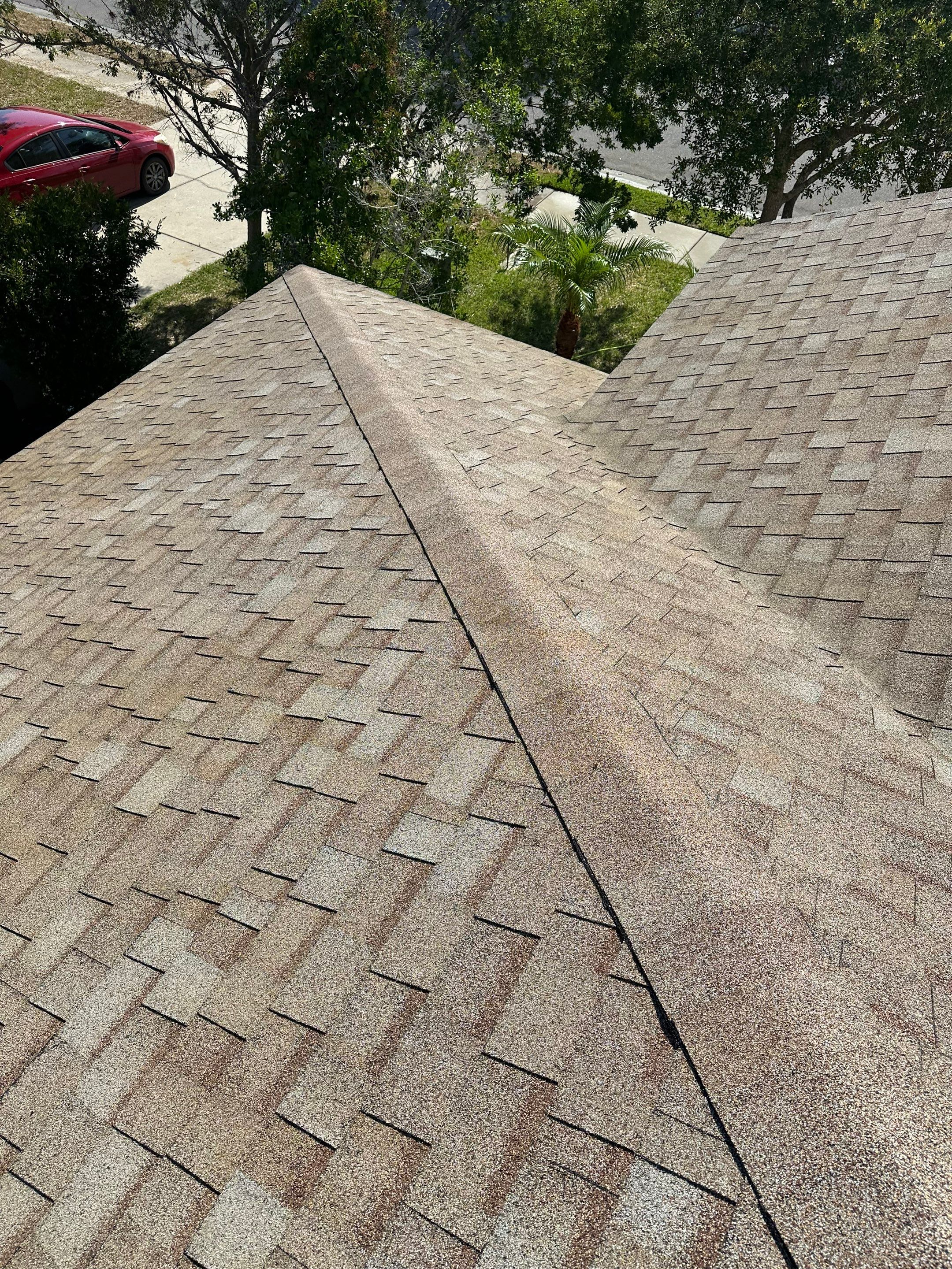 Asphalt Shingle Roof Soft Wash Cleaning & Concrete Pressure Washing in CopperStone Community, Parrish, FL by Sunshine AquaWash