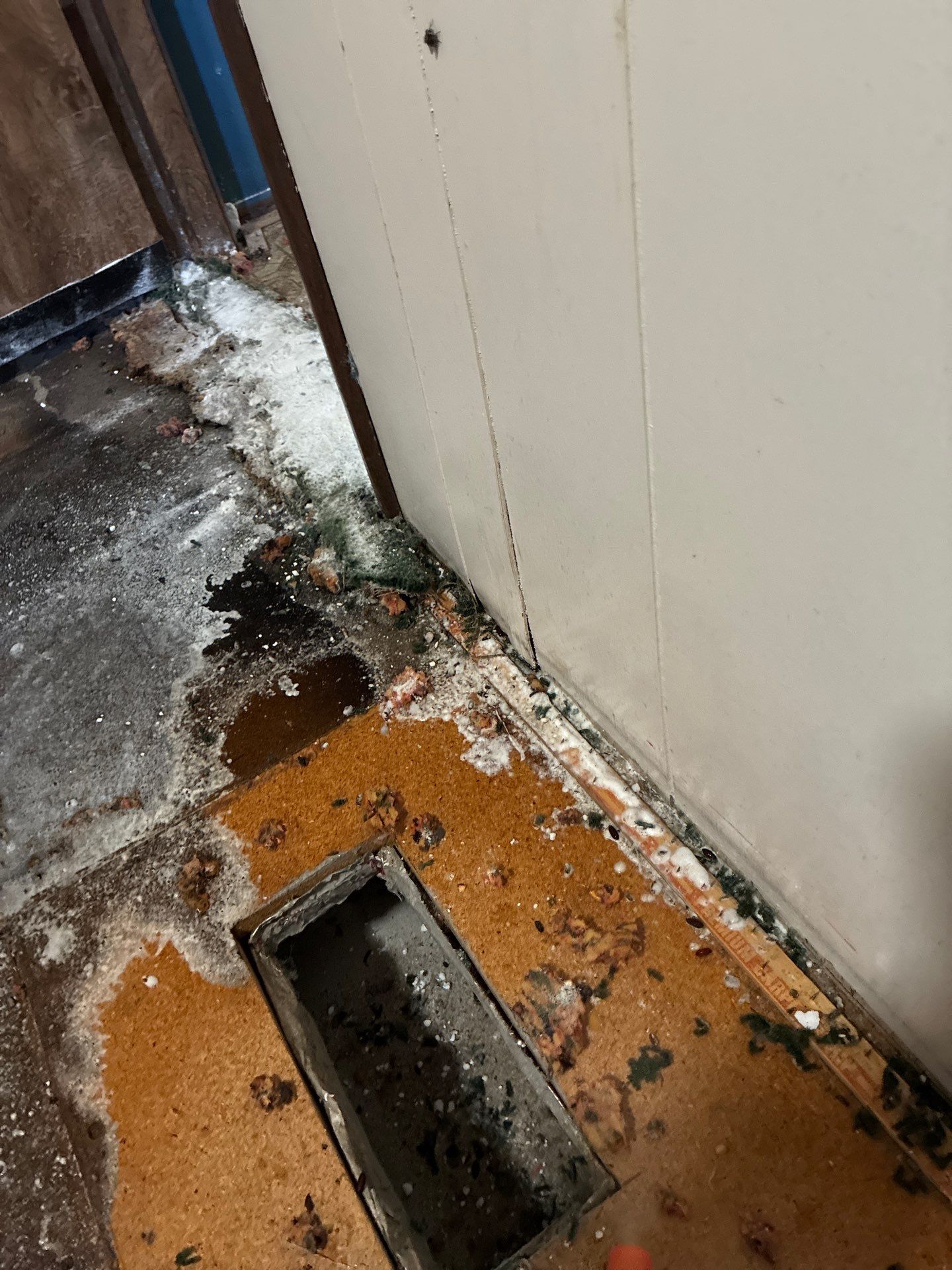 Project in Jackson by 911 Hazmat Cleanup 
