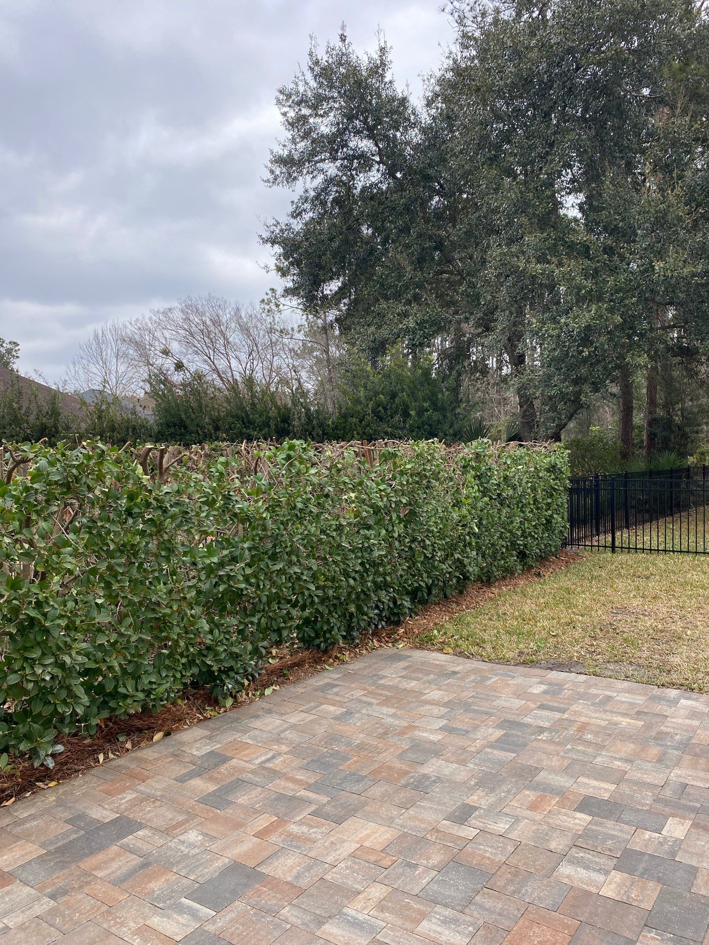 Residential | Hedge Trimming by ProGreen Services