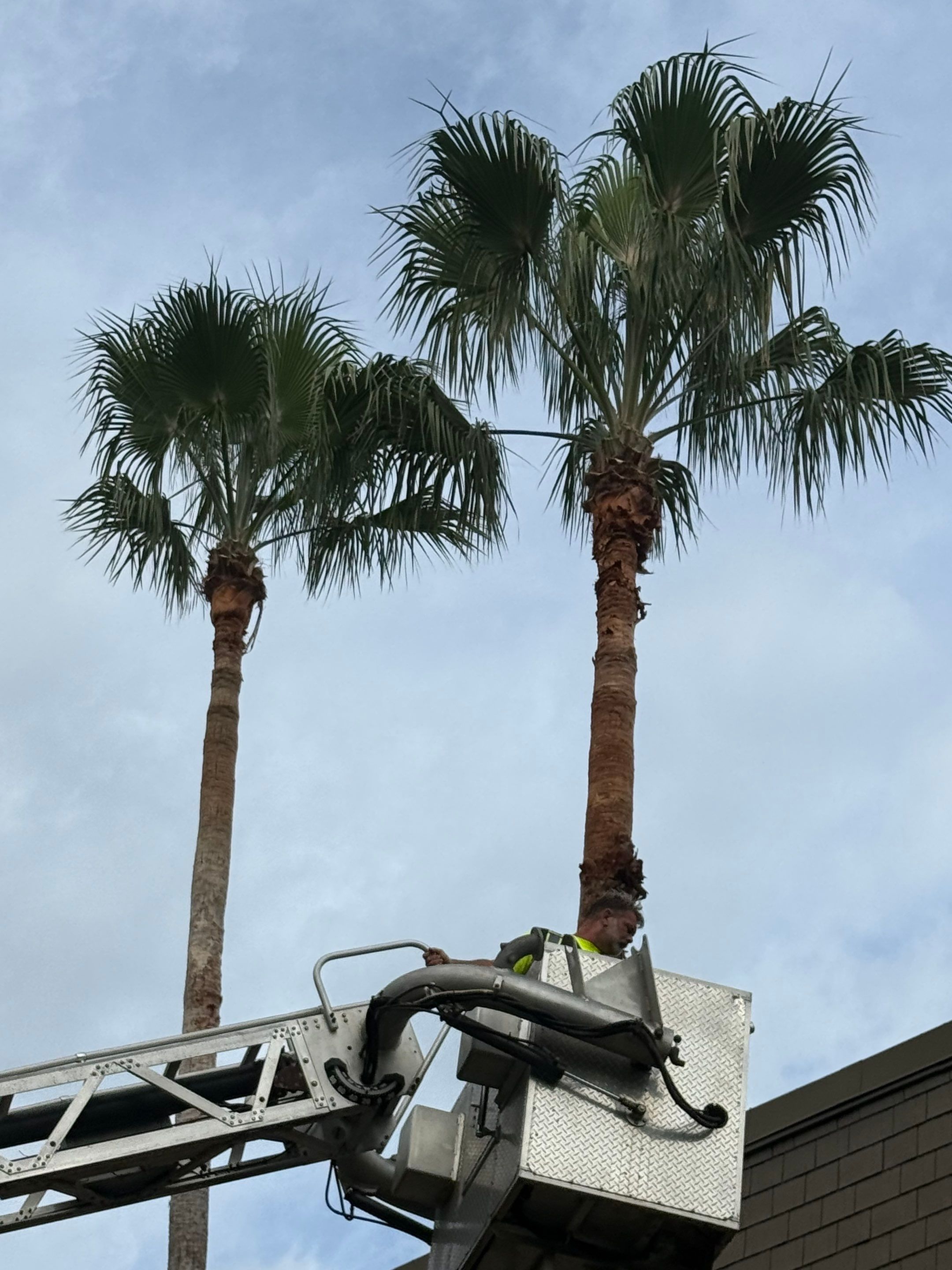 Volunteer Work | Episcopal High School of Jacksonville by ProGreen Services