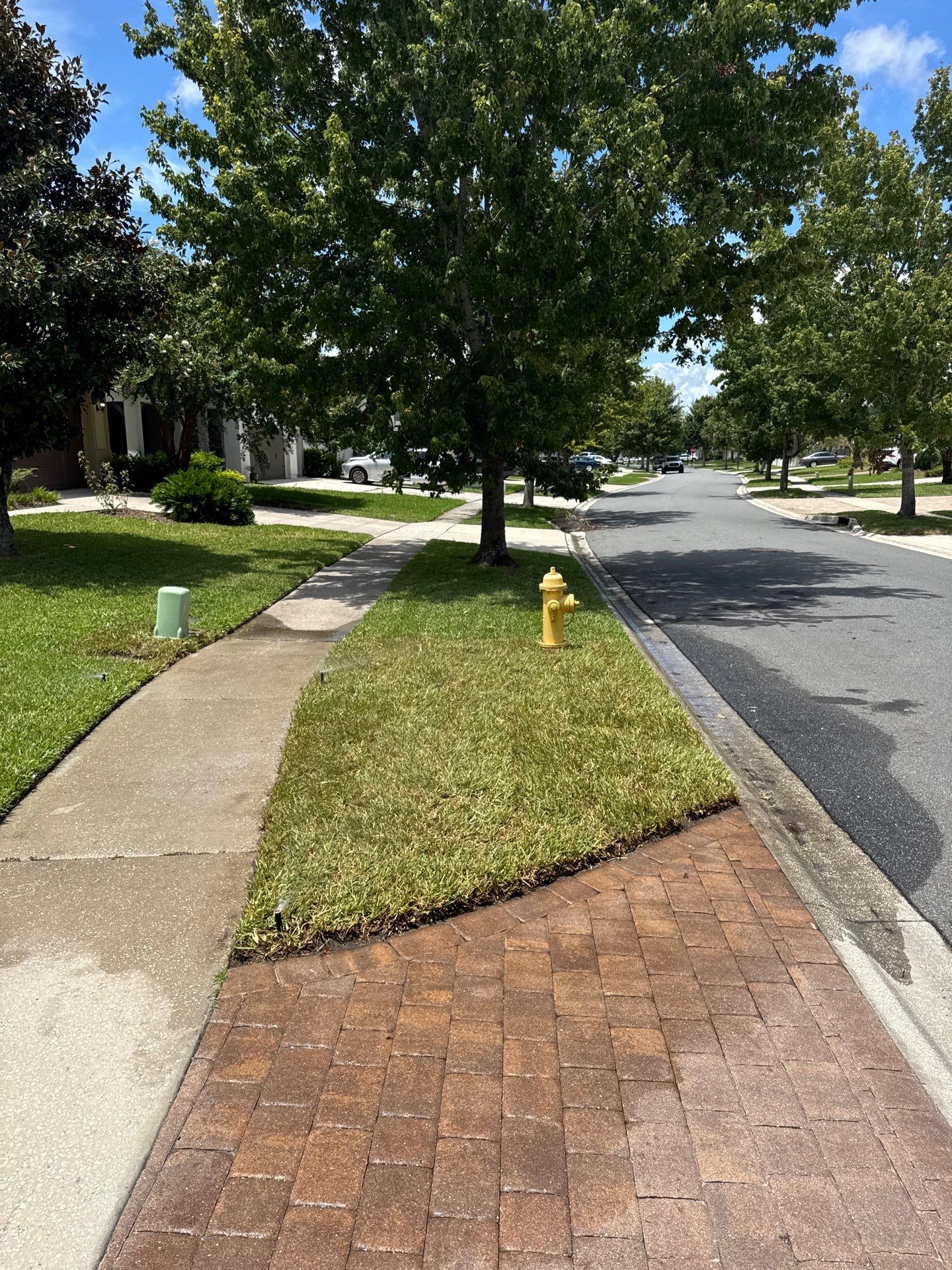 Residential | Sod Installation by ProGreen Services