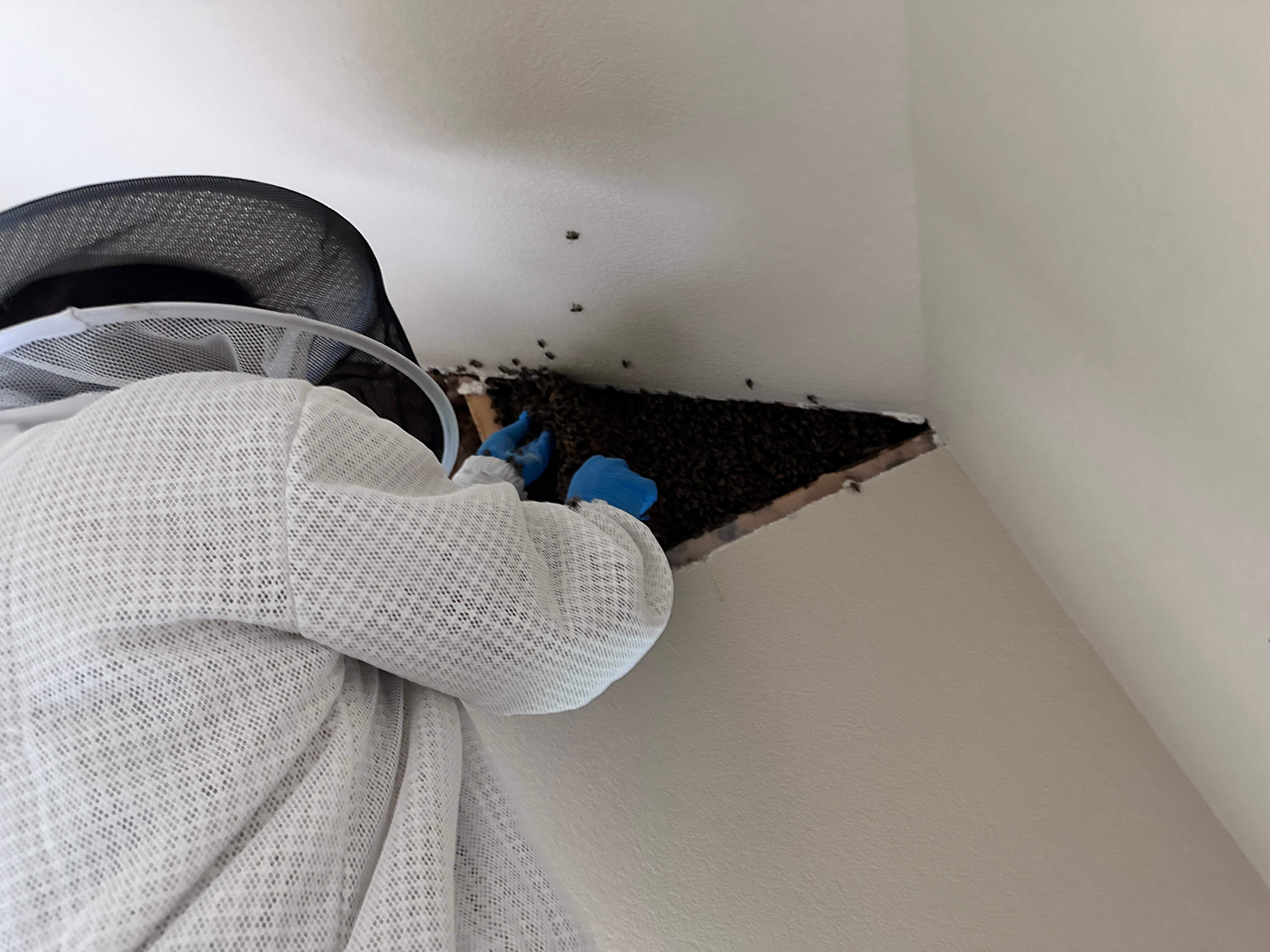 Inside Job by Rockwall Honey Bee Company