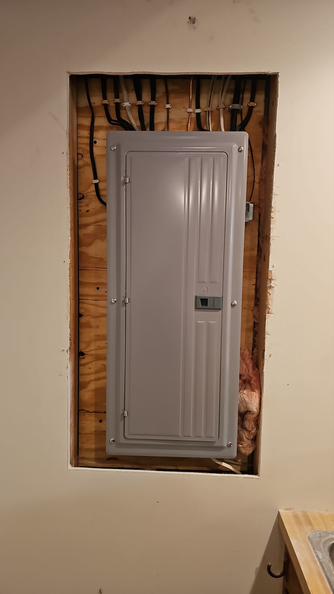 Updated Electrical Service  by Abe Electric 