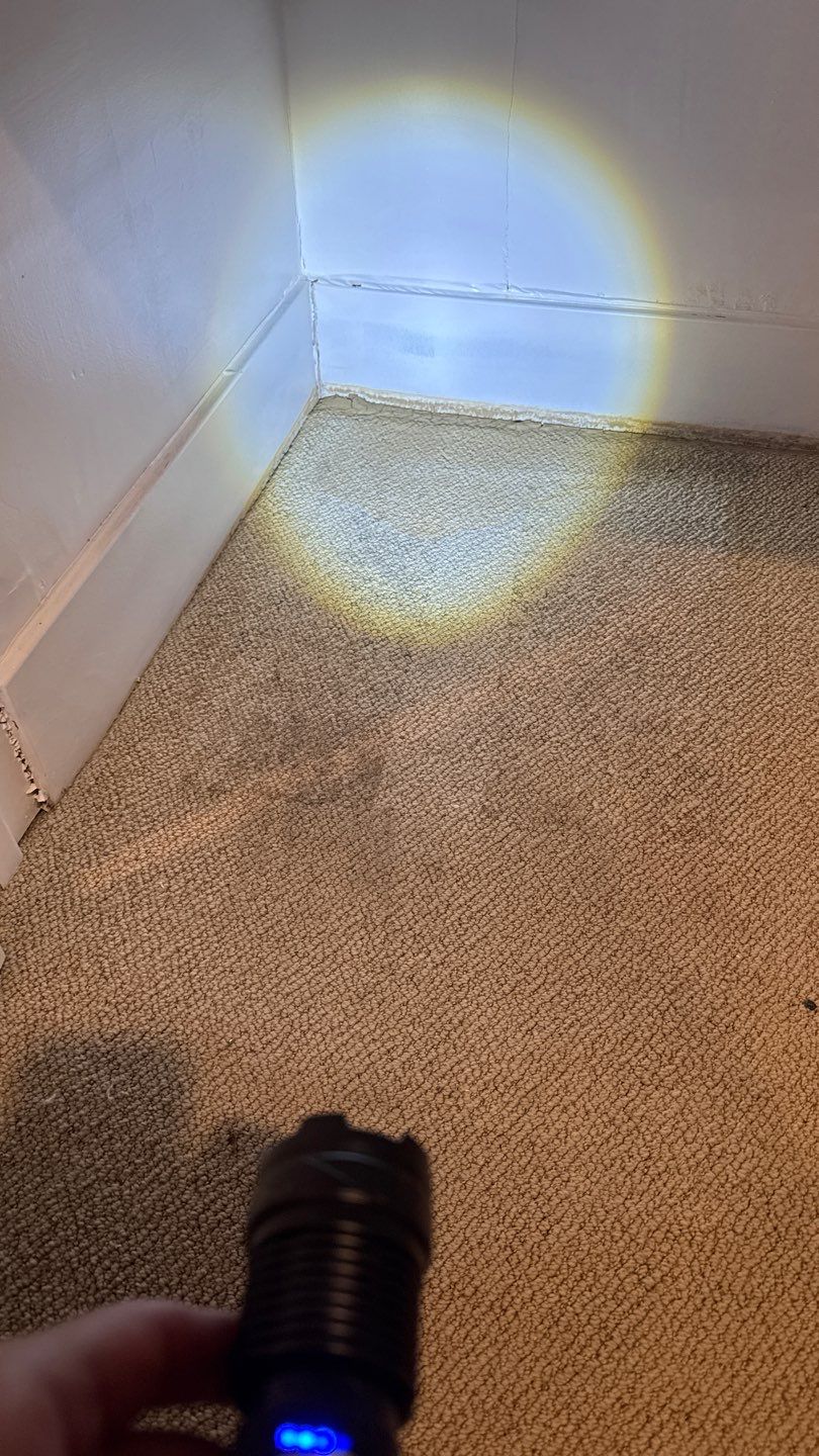 Mold Project in Englewood by Accountable Home Services