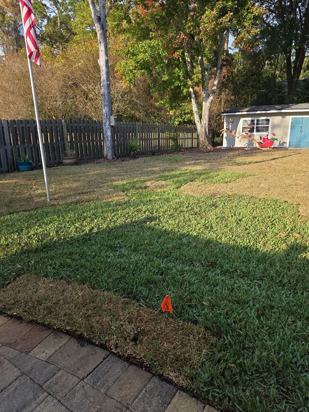 Deerwood Resident | Winter Sod Replacement by ProGreen Services