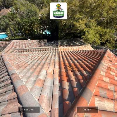 Tile Roof Cleaning