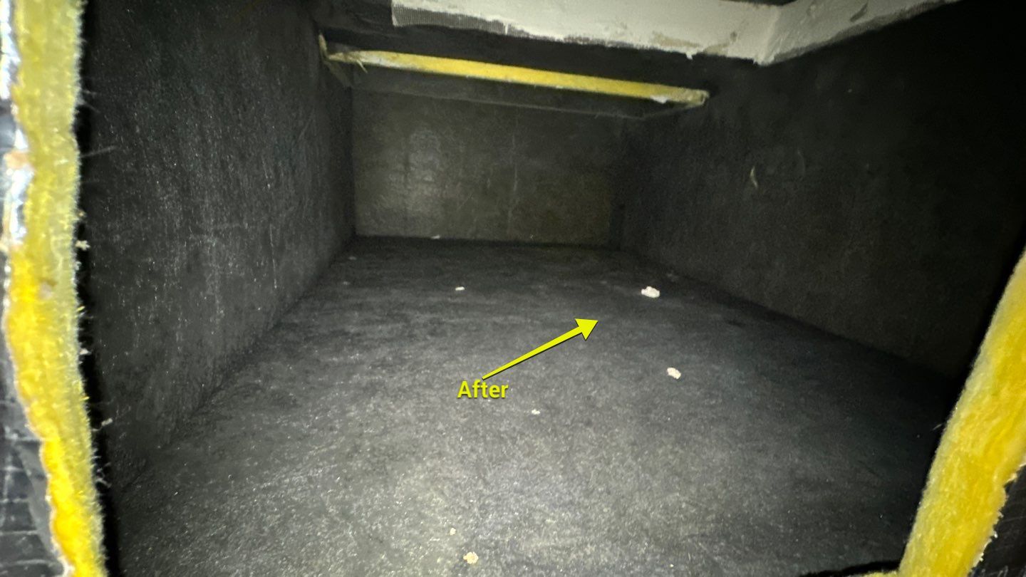 Air Duct Cleaning in Clermont by Hygienic Air, Inc