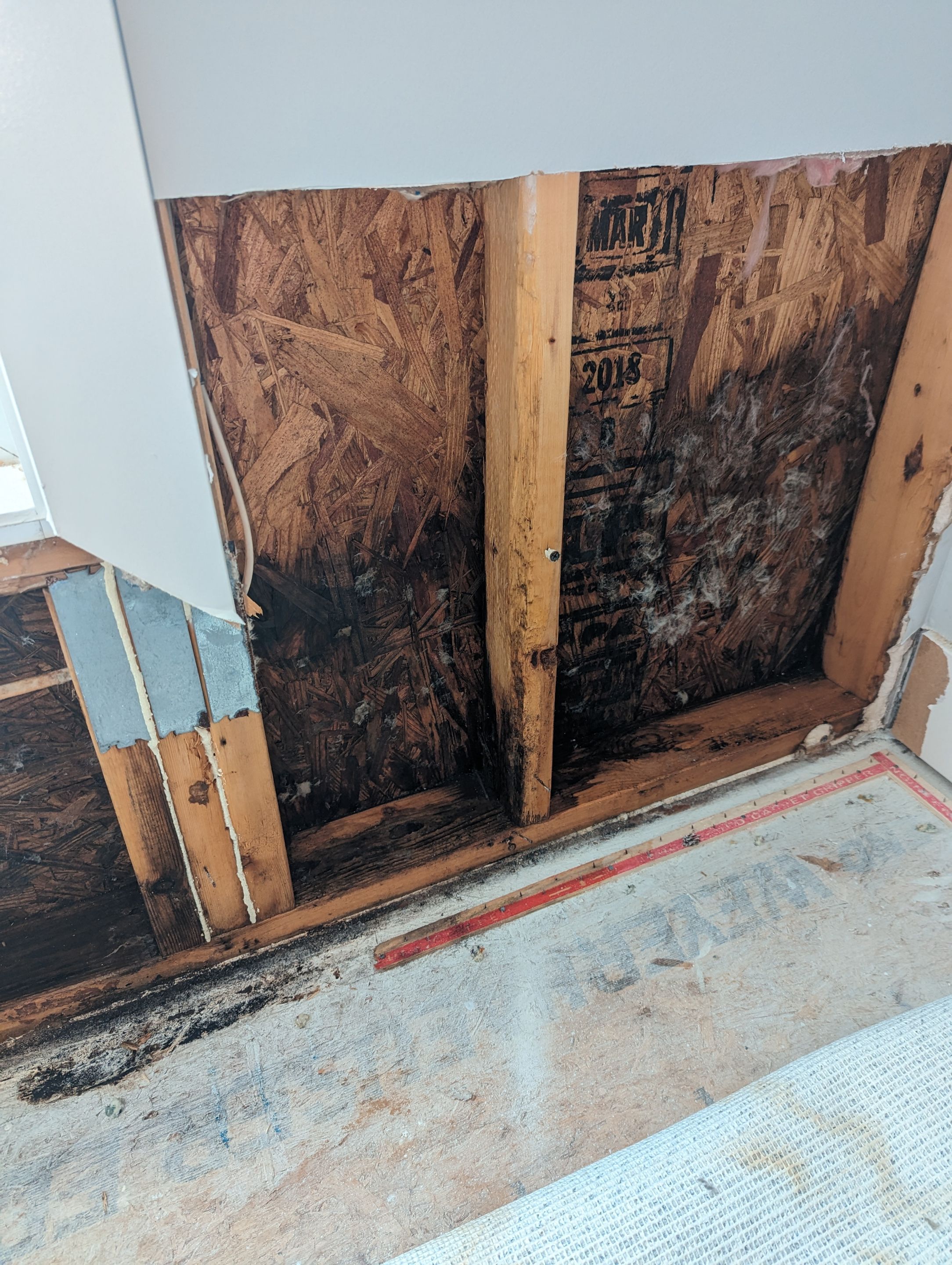 Mold Remediation in Jeffersonville, IN by ANR Restoration