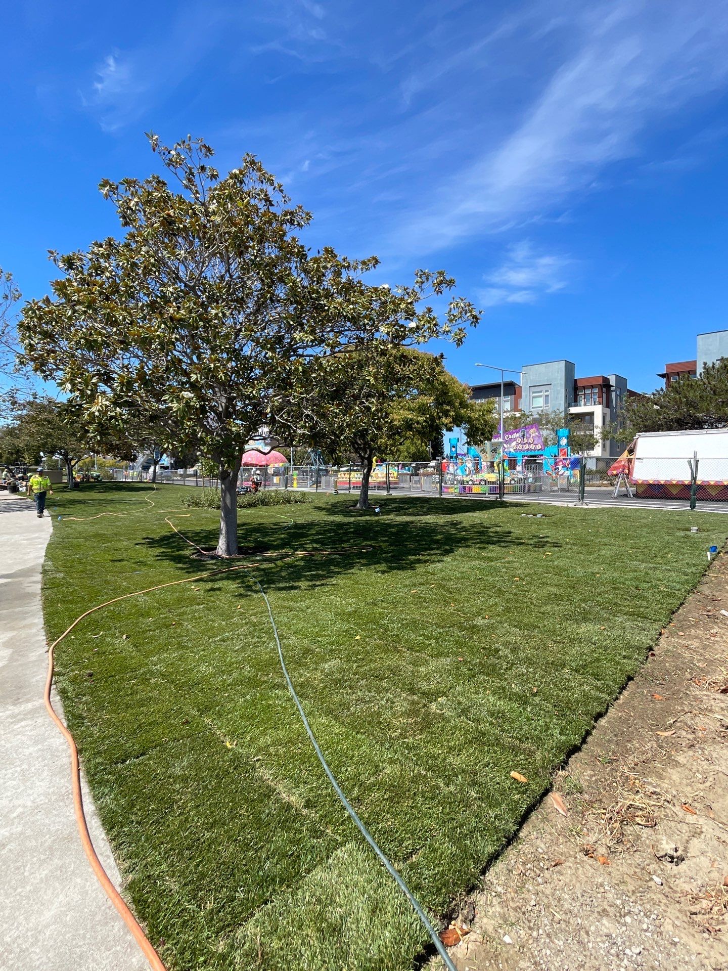 Project in Foster City by A - G Sod Farms