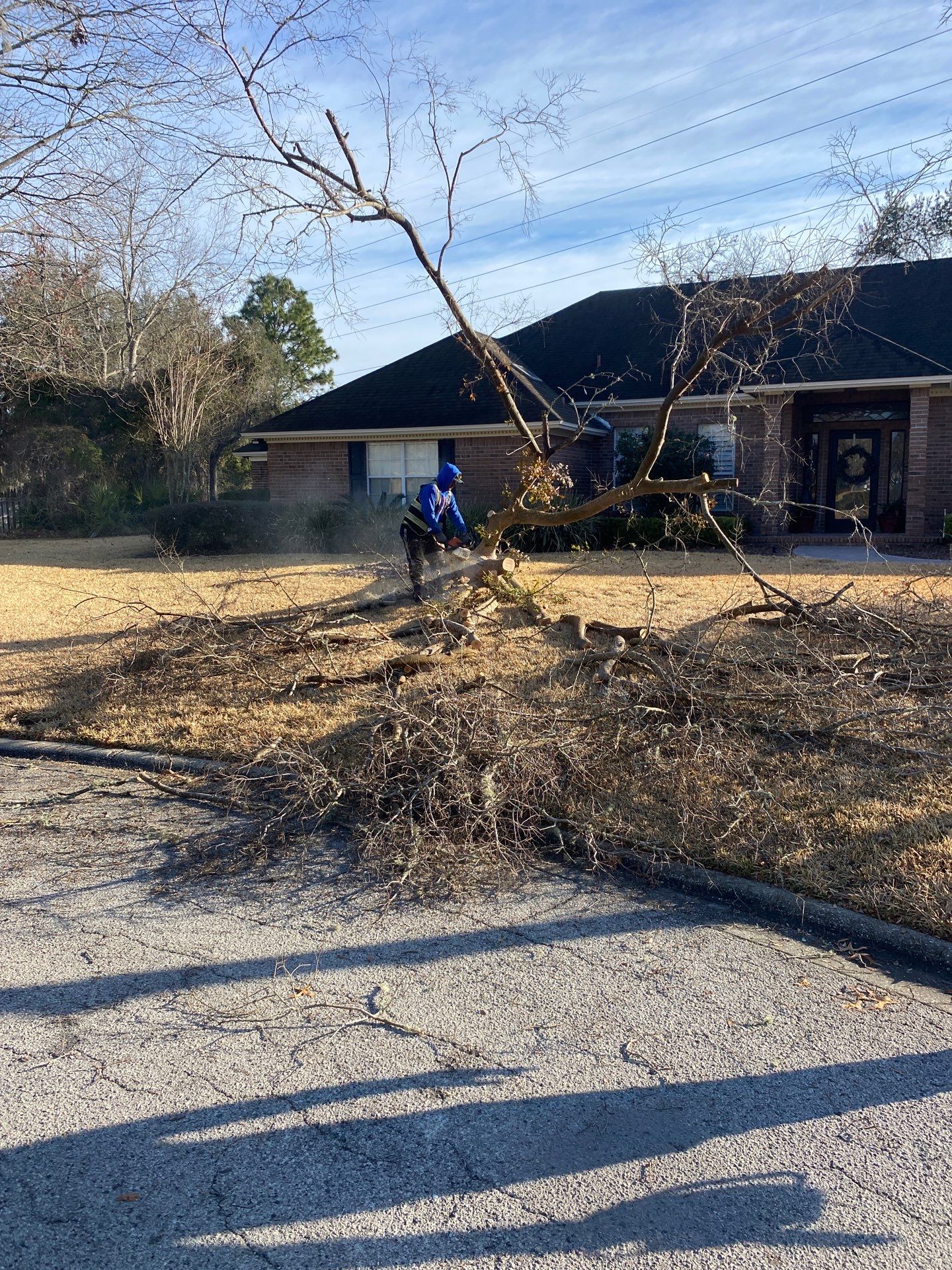 Deerwood Resident | Tree Removal by ProGreen Services