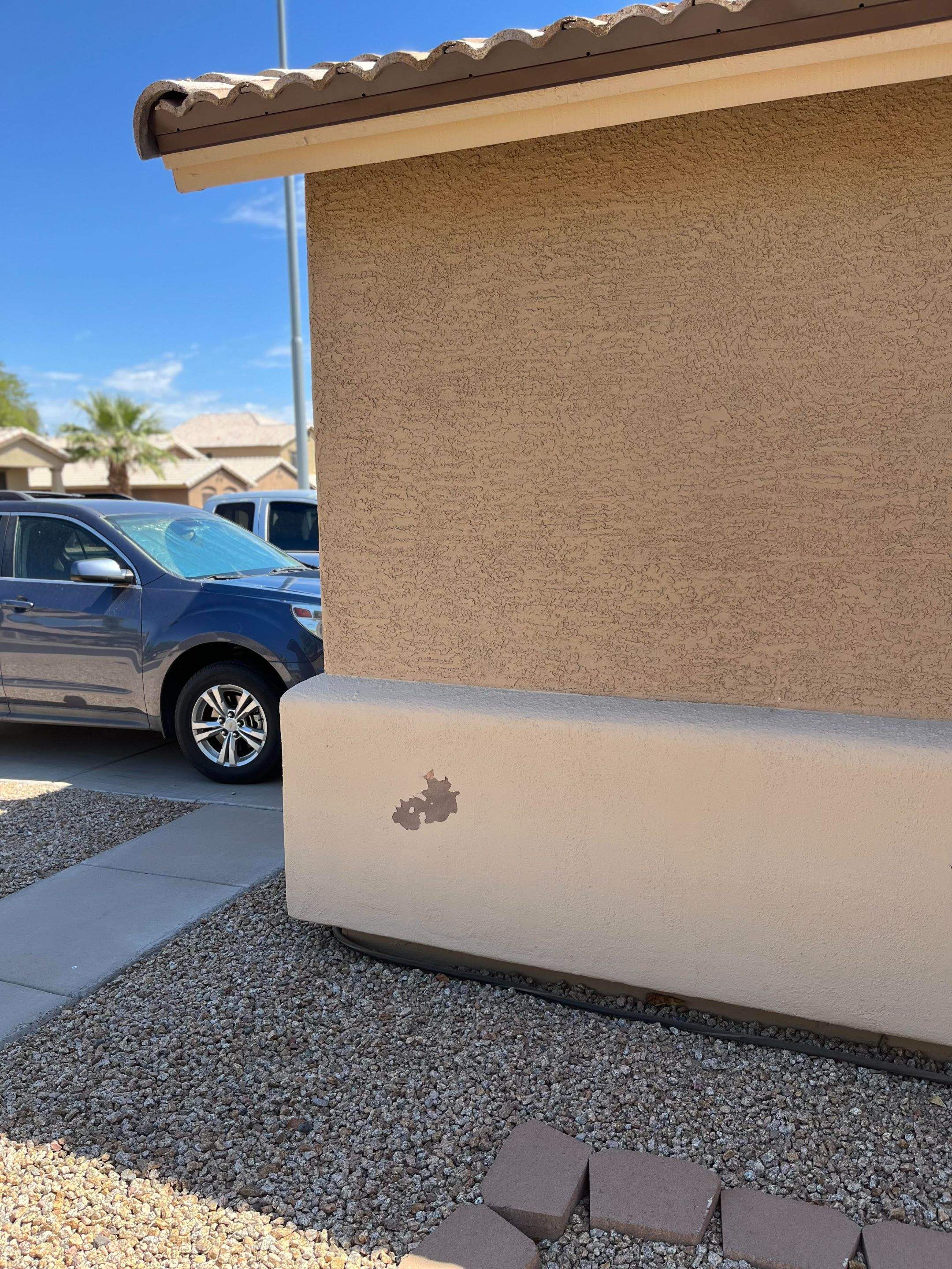 Exterior Painting - Avondale by Crash of Rhinos Painting & Garage Floors