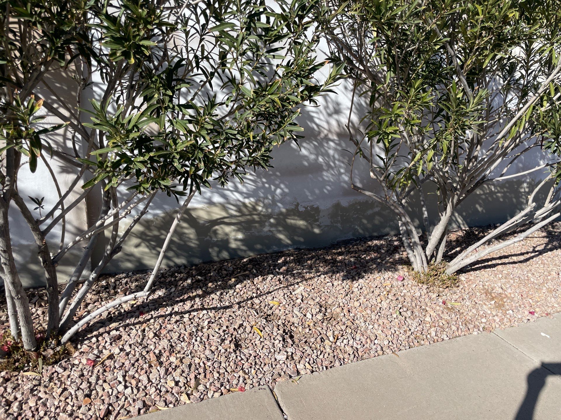Gazzo - A Beautiful Home Exterior Transformation in Scottsdale, AZ with C&M Primer and Sherwin Williams Paints by Double G Painting Contractors, LLC