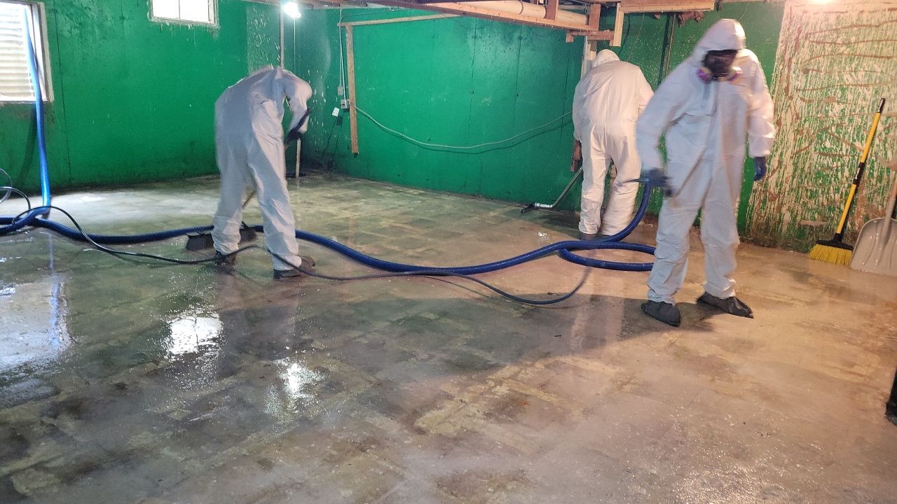 Grossly Contaminated Basement Mold by Chicagoland Water Medics
