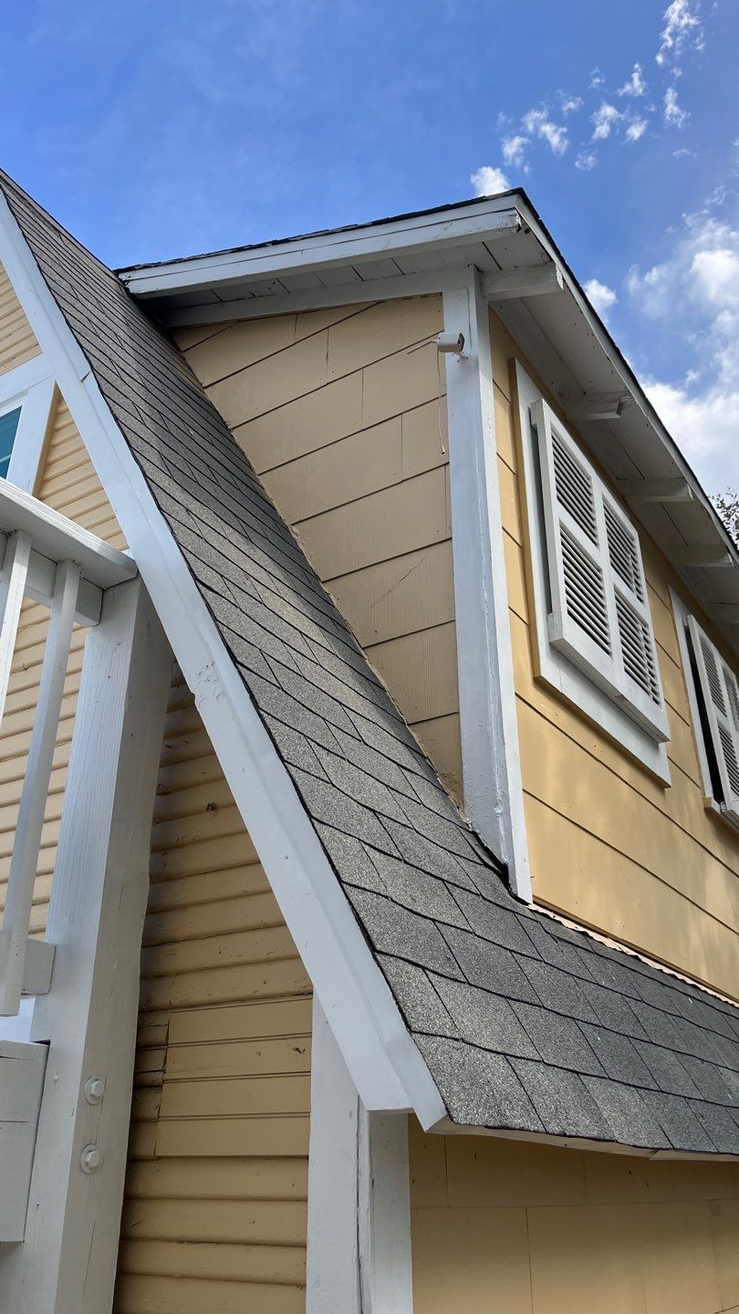 Olive you a Lot! by Bayfront Roofing and Construction