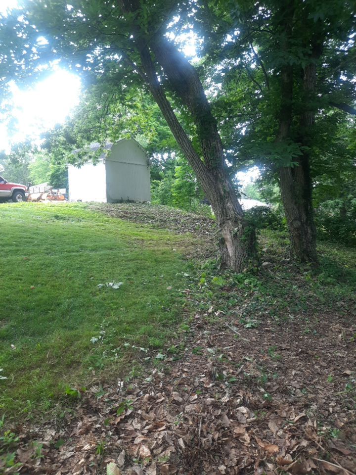 Tree Removal using Tree Removal by Mike Jones & Sons Tree Service LLC 