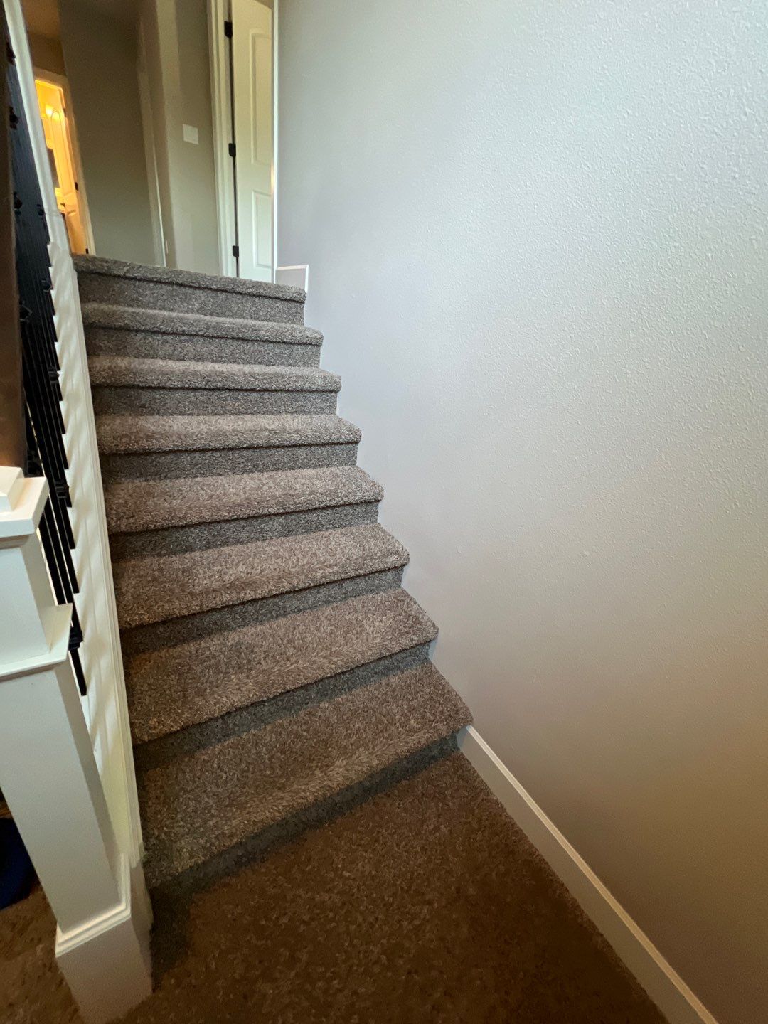 Carpet Cleaning in West Linn by Cloud 9 Professional Cleaning Services