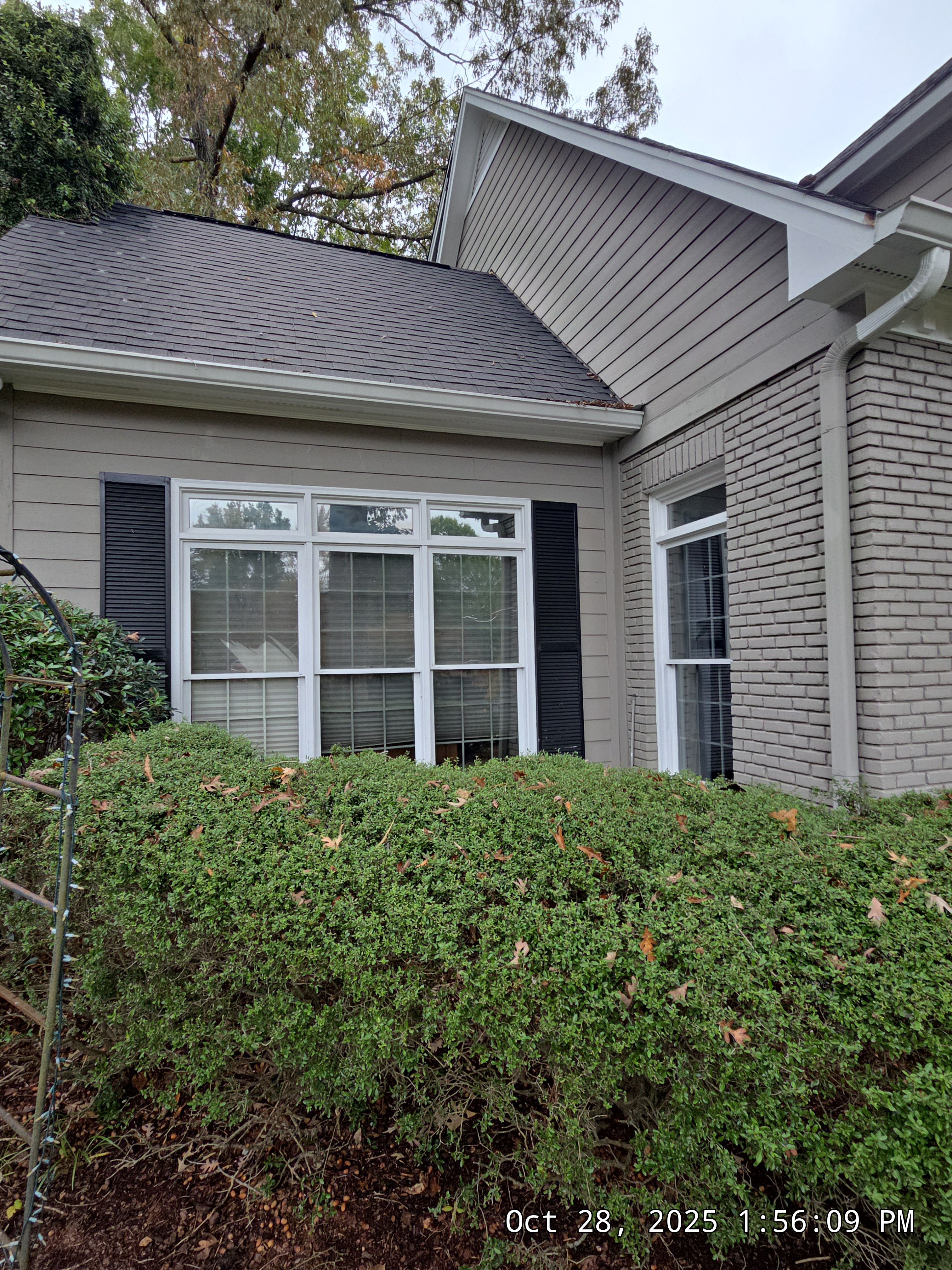 Flowers Project in Vestavia Hills, AL by The Window Source