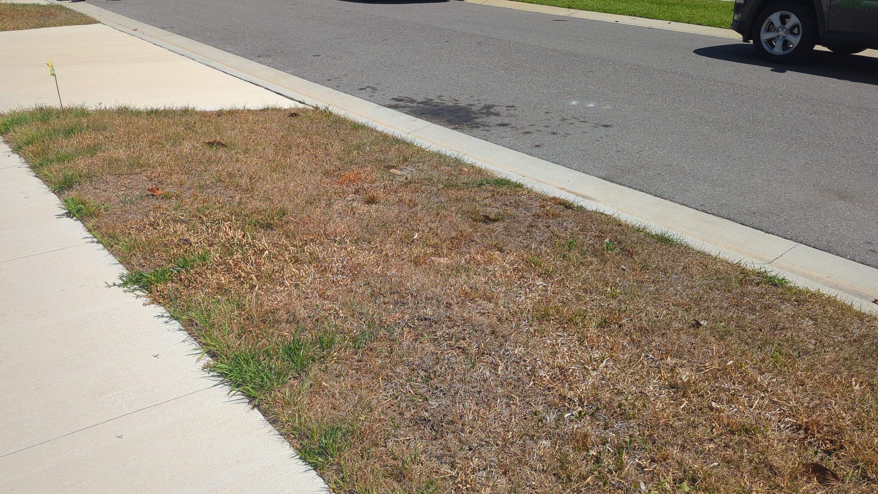 Complete Lawn Restoration with St. Augustine Sod by 
M.A.B. Landscaping & Property Maintenance