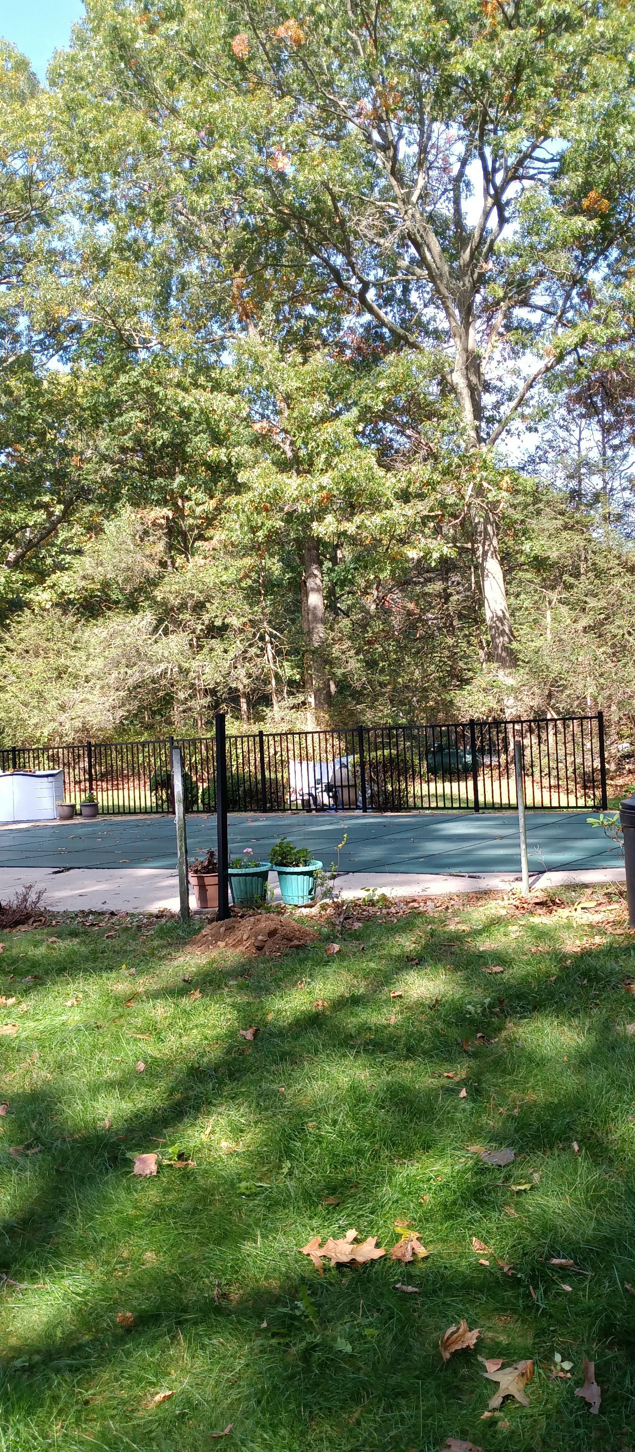 Replacement Aluminum pool fence with matching gate in Black by DiGiorgi Roofing and Siding Inc