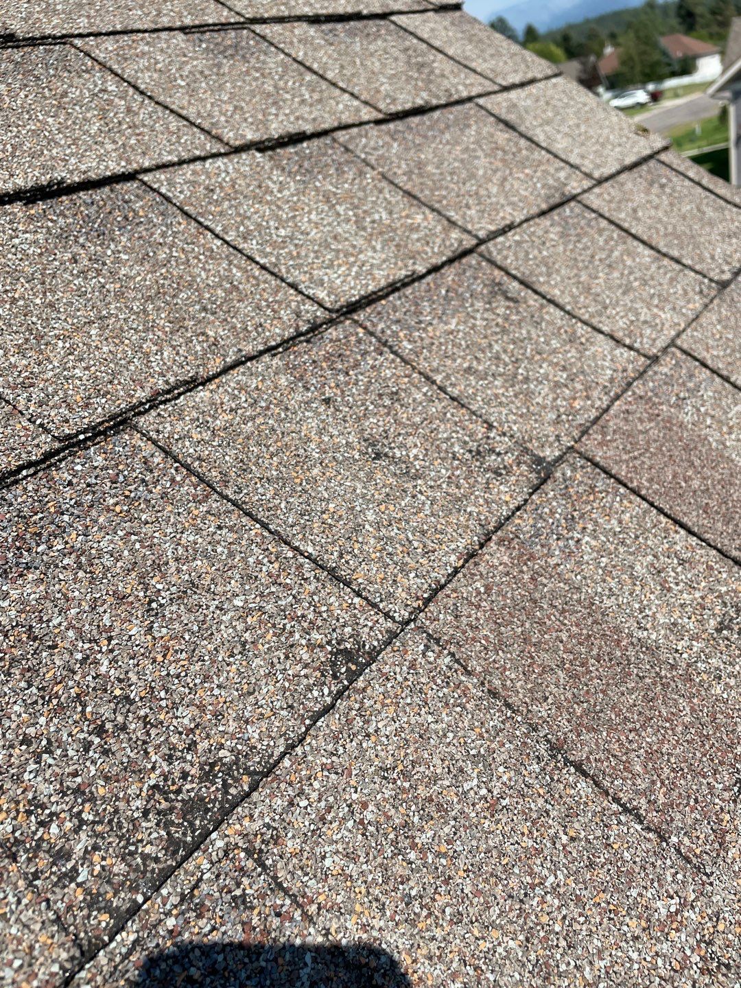 GAF Timberline HDZ - Mission Brown by Montana Roofing Solutions