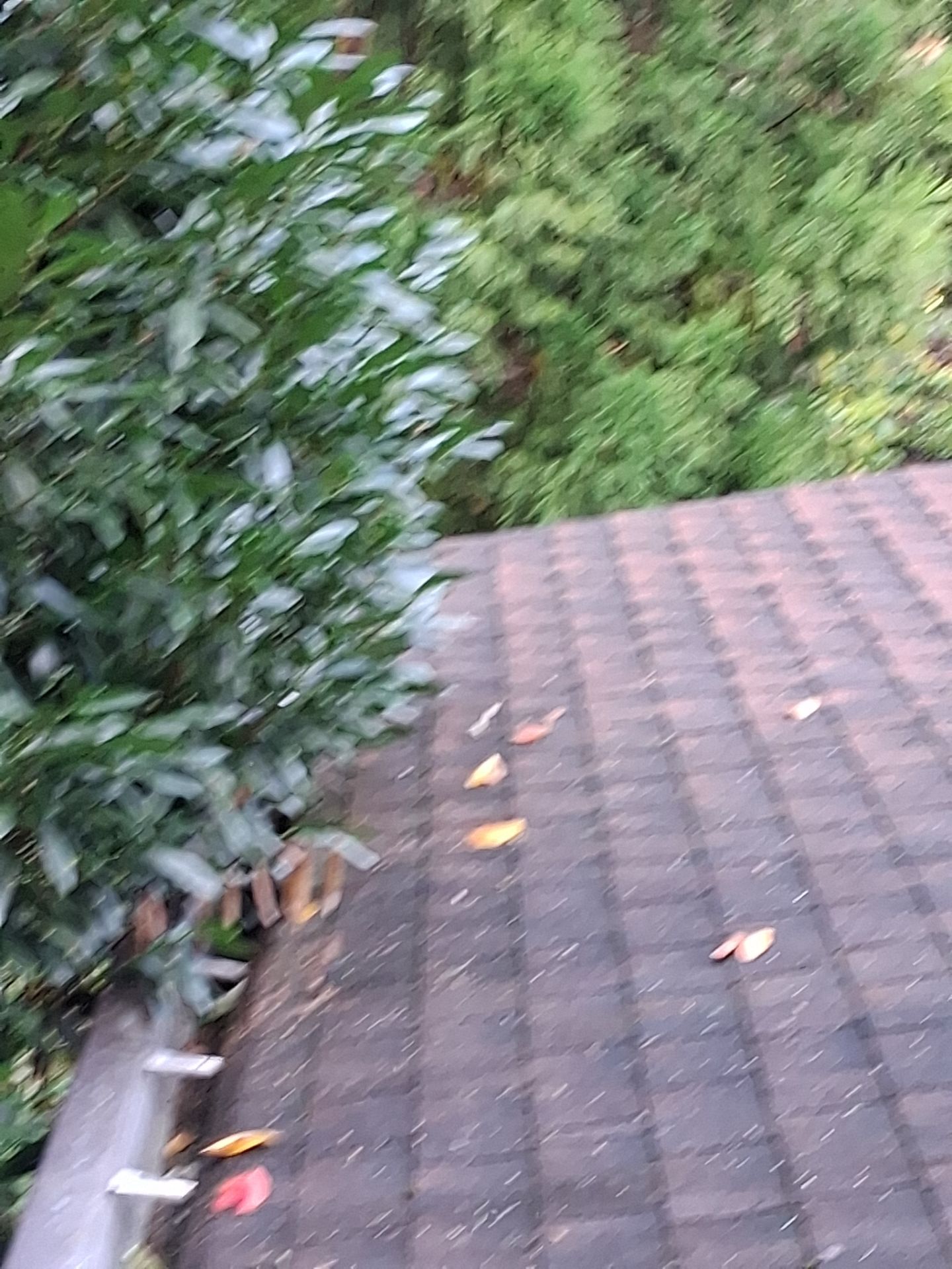 Gutter and Downspout cleaning in Montville New Jersey 07045 by NJ Home Maintenance Services