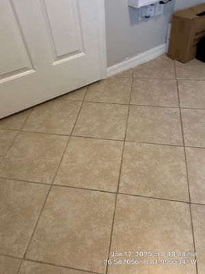 Basement Remodel