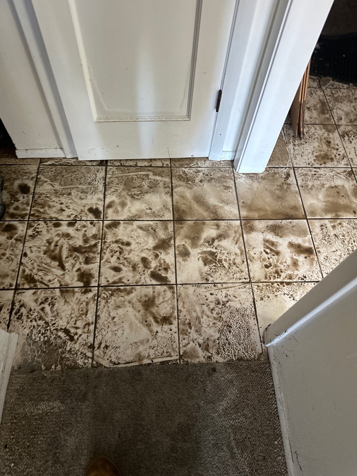 Hurricane Damage using Drying Equipment by SuperClean 