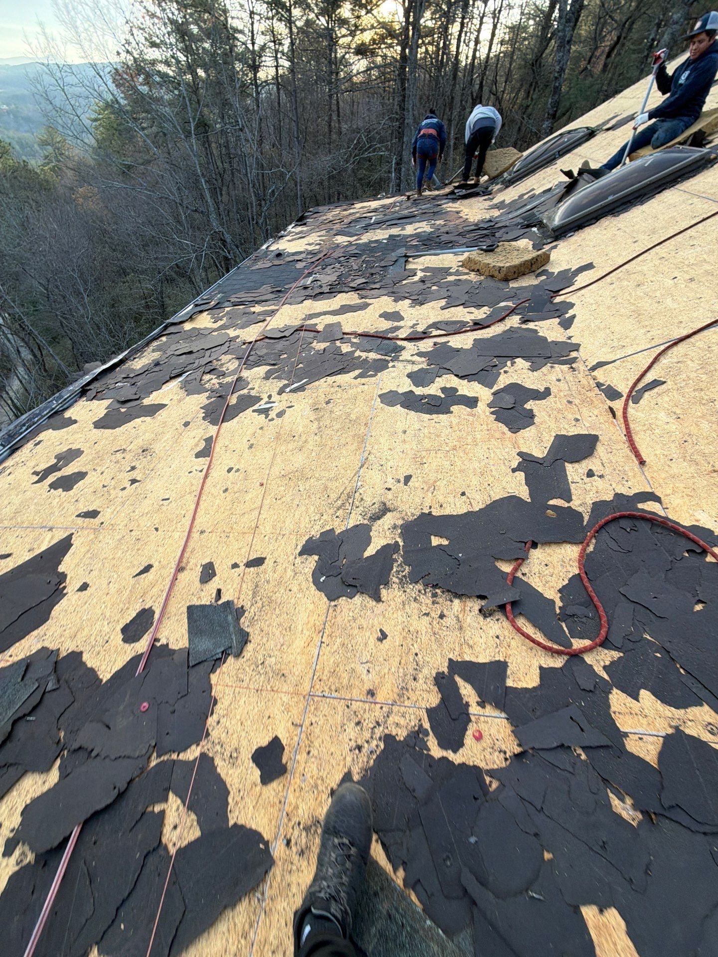 Holly Klaine by United Contracting and Roofing
