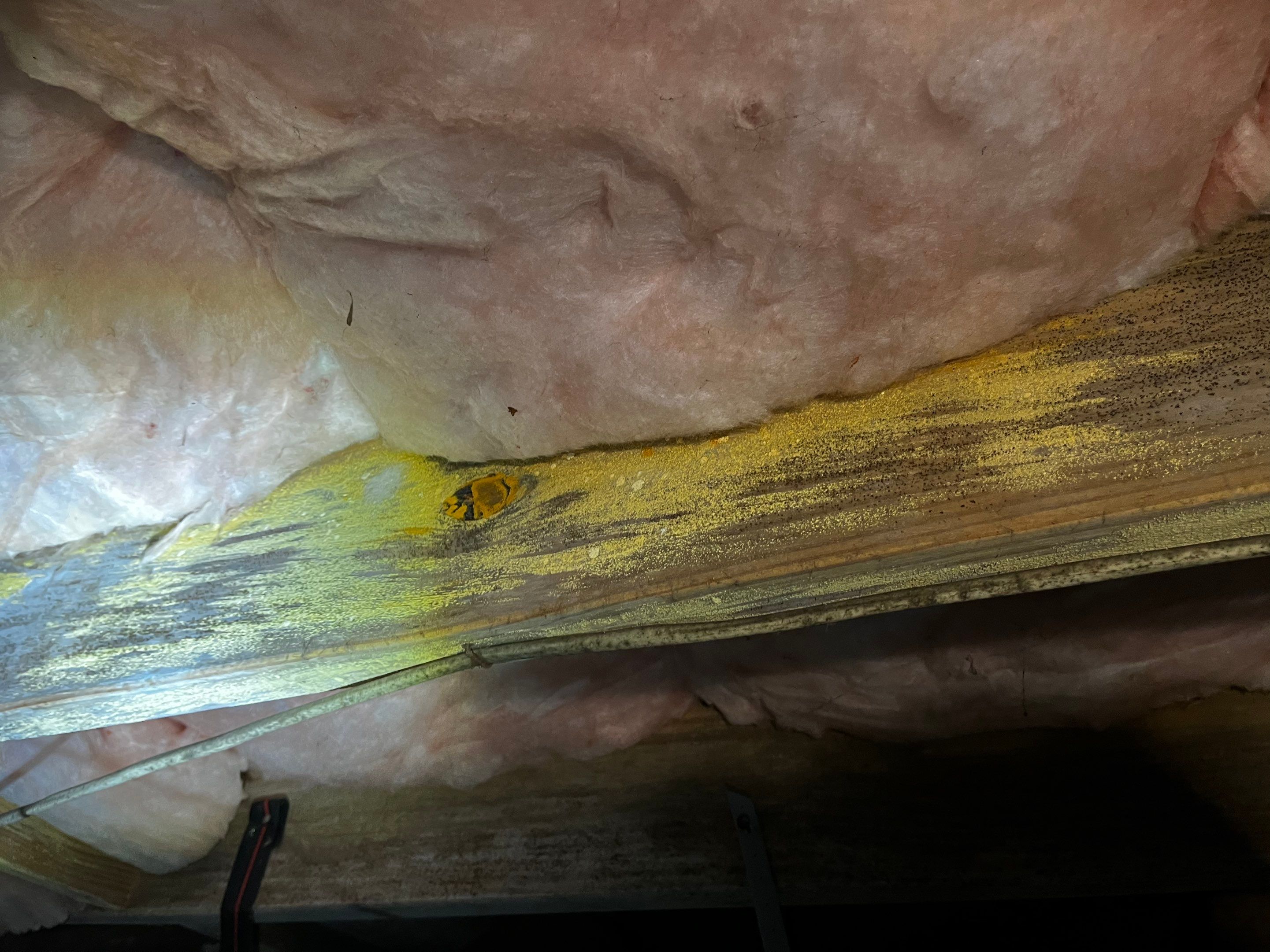 Impact Choice Encapsulation with Mold Removal. by Impact Crawlspace