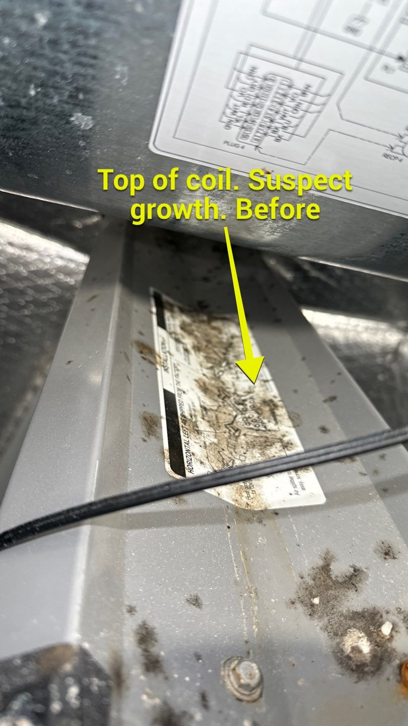 Commercial Air Duct Cleaning in Clermont by Hygienic Air, Inc