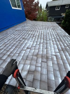 Roof Rejuvenation using Roof Maxx Treatment