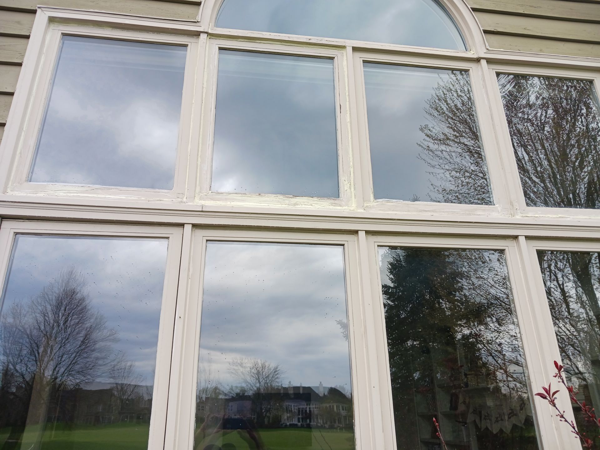 New Windows by NextWave Construction