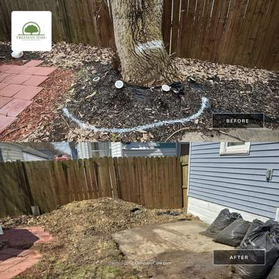 Tree Removal