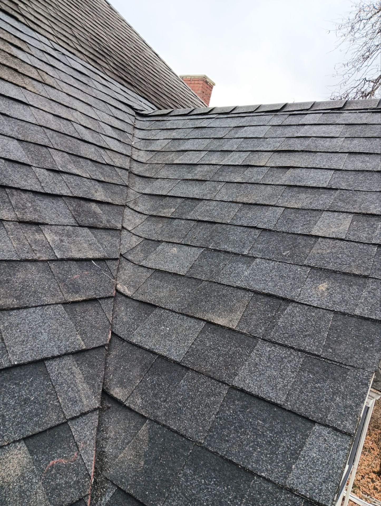 Joe Michael 435 by Silver Leaf Contracting 