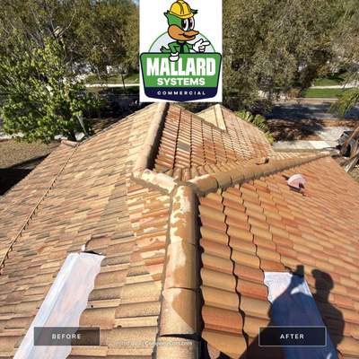 Tile Roof Cleaning
