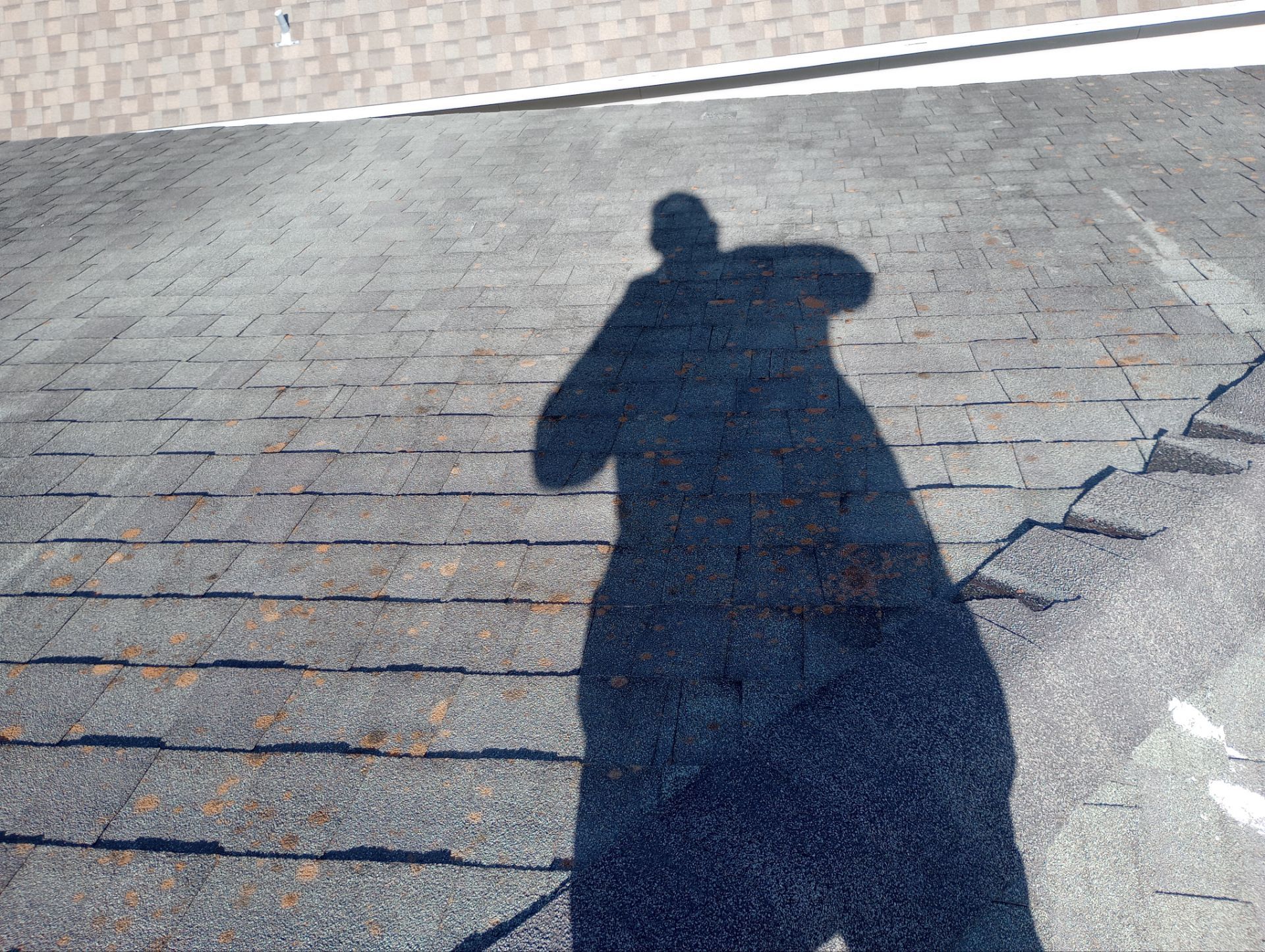 Residential Roofing Installation using Owen's Corning Duration (Lifetime) Shingles by Roof Repair Company